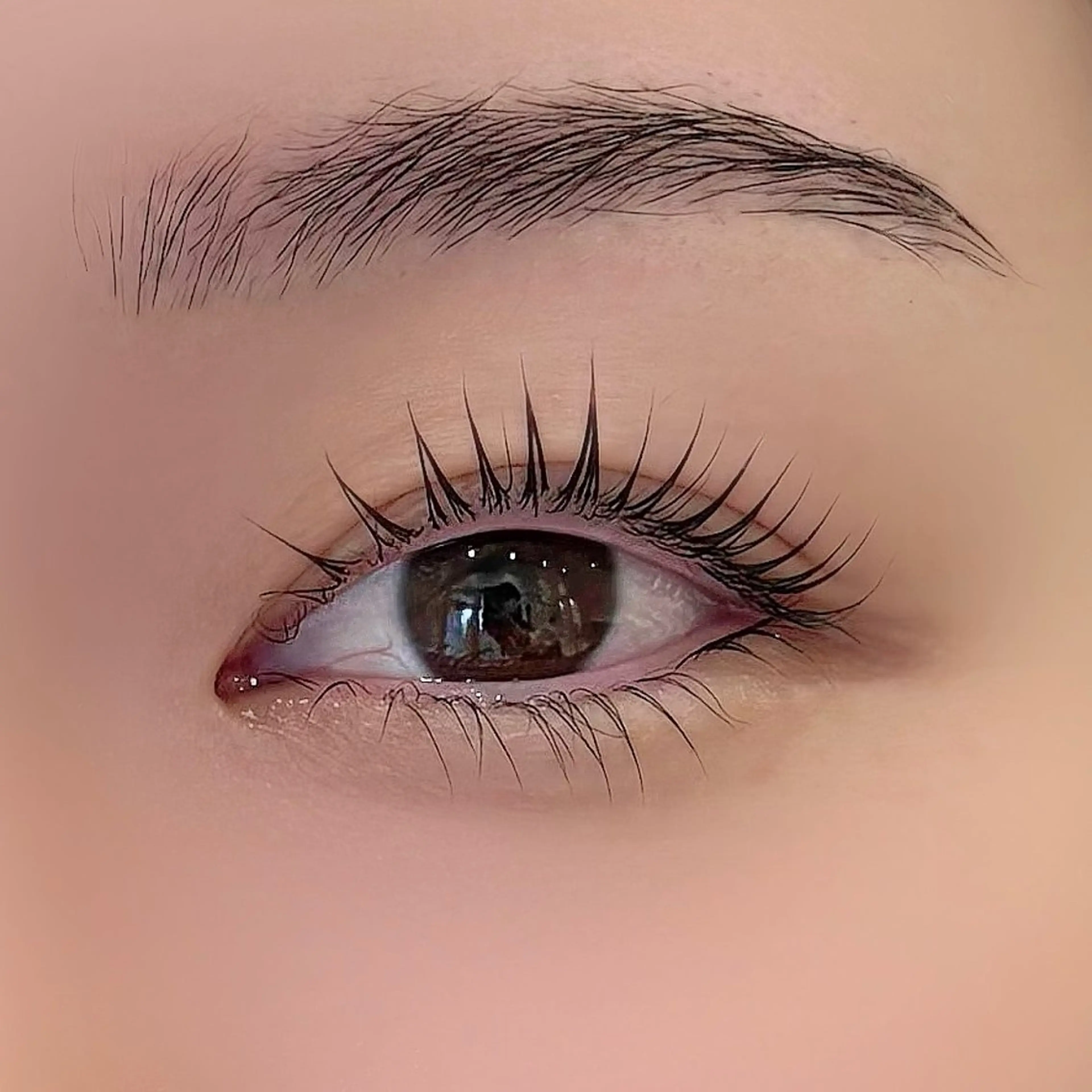 【minimo限定価格】 🦋 まつげパーマ 🦋(上下)の写真