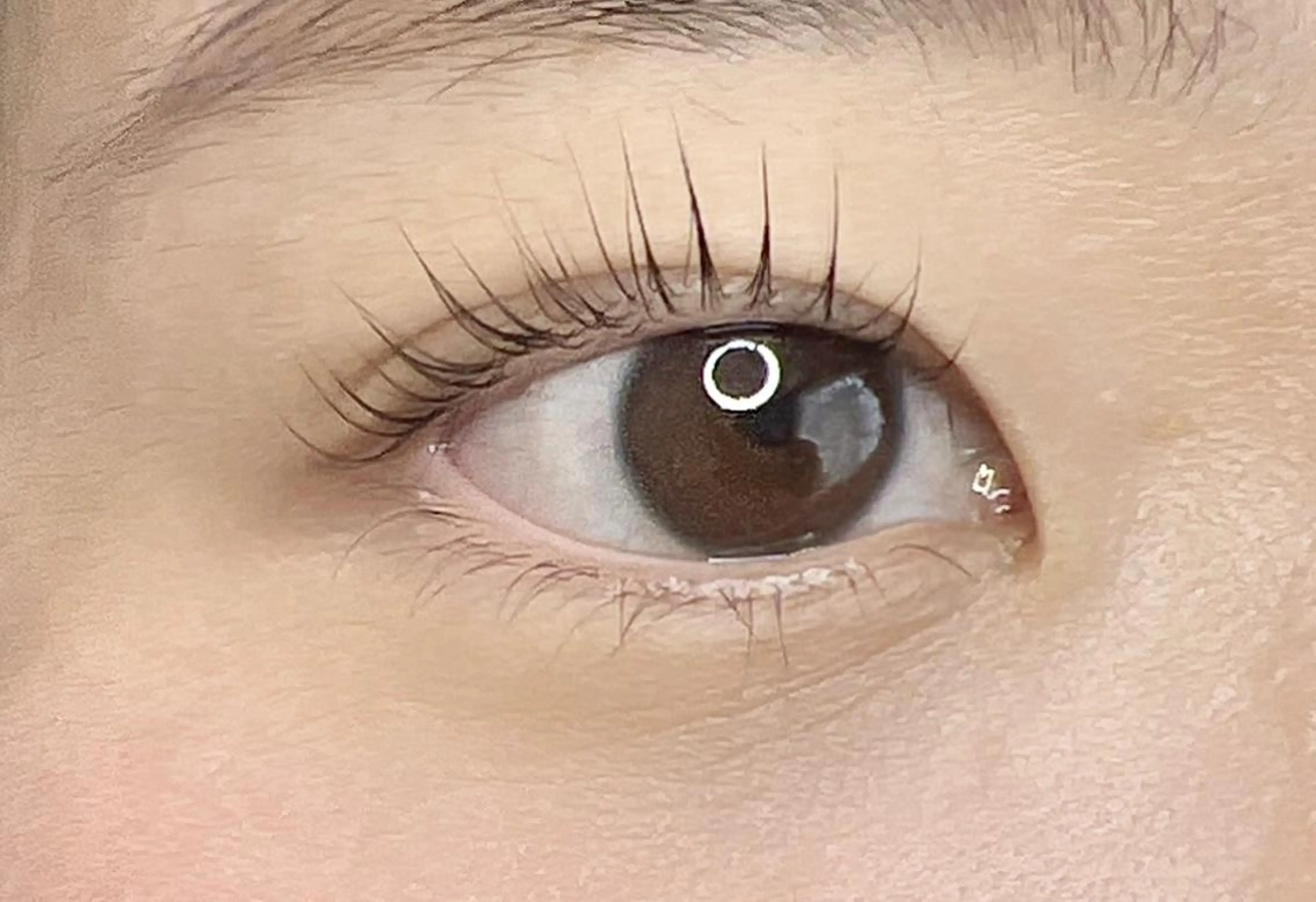 マツエク・マツパ パリジェンヌラッシュリフト マツパ eyelash plan api所属・【plan】 kaoriのマツエク・マツパデザイン