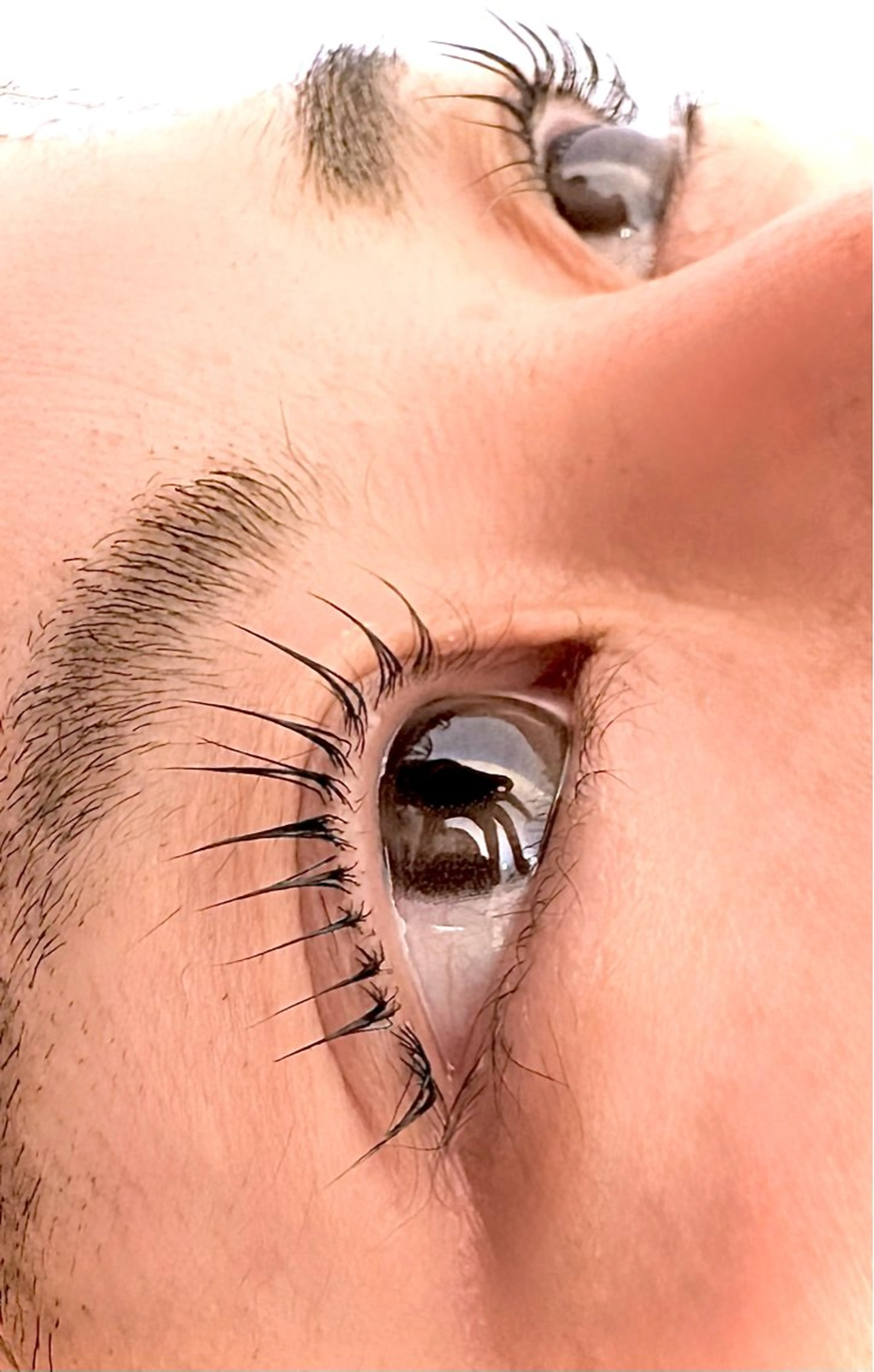 マツエク・マツパ マツパ 森 恵のマツエク・マツパデザイン