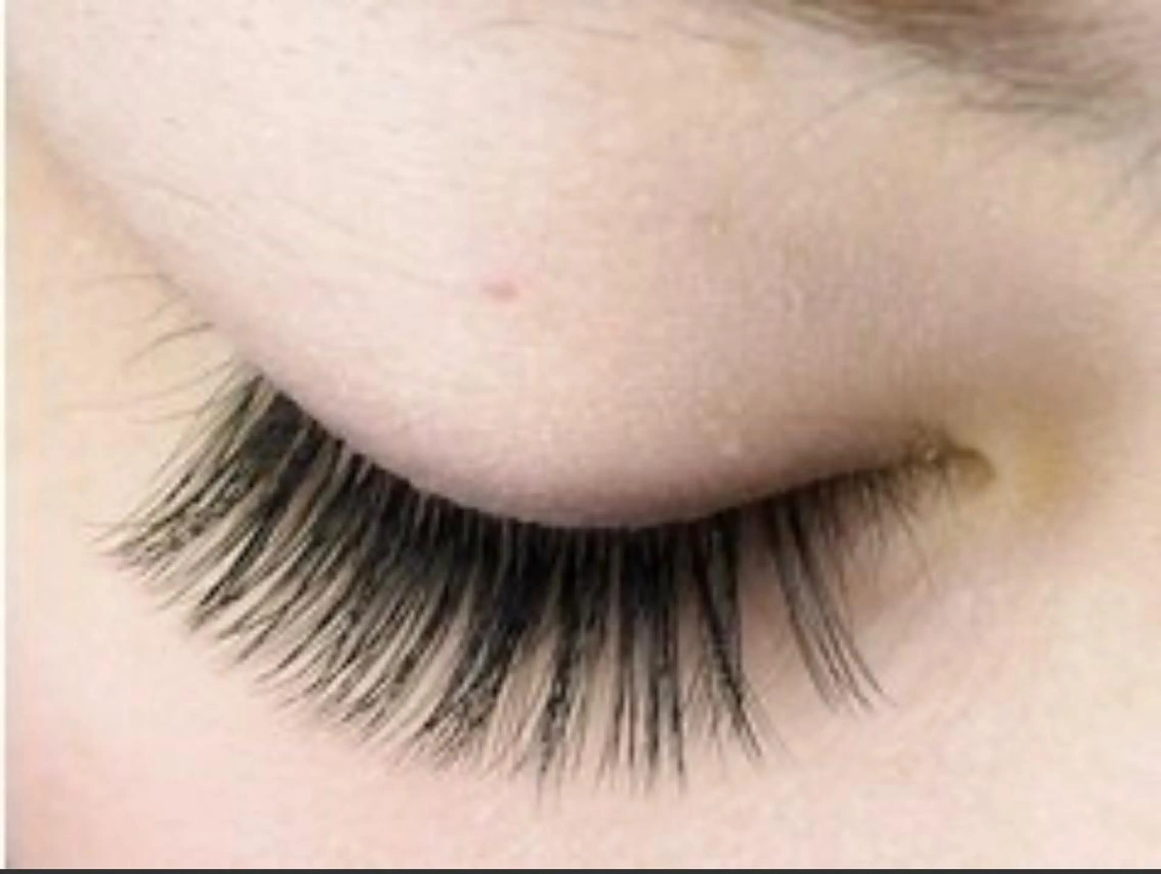 ボリュームラッシュ 300本(オフ込み)の写真