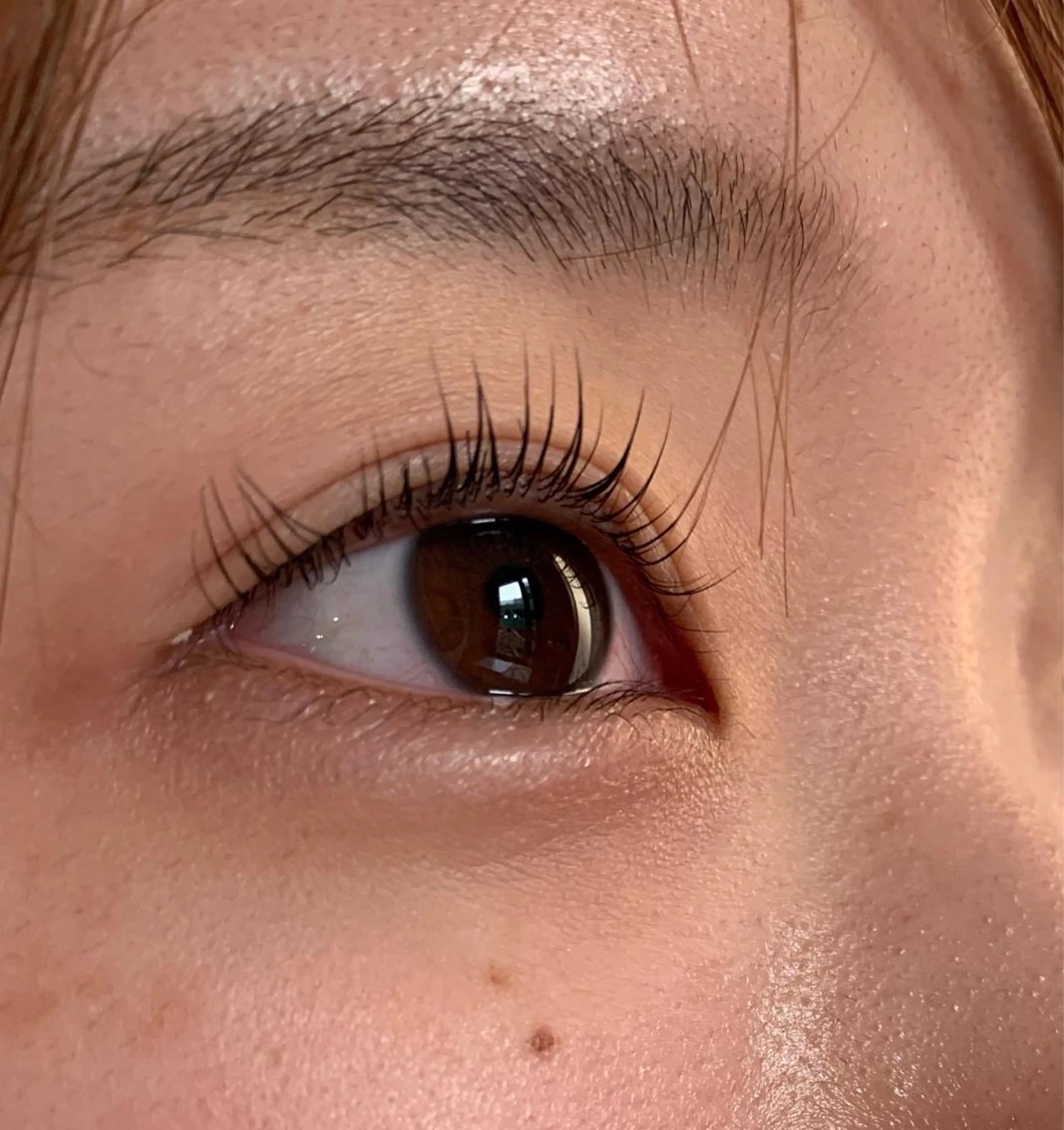 ケアラッシュリフト まつ毛パーマ まつパ ラッシュリフトの写真