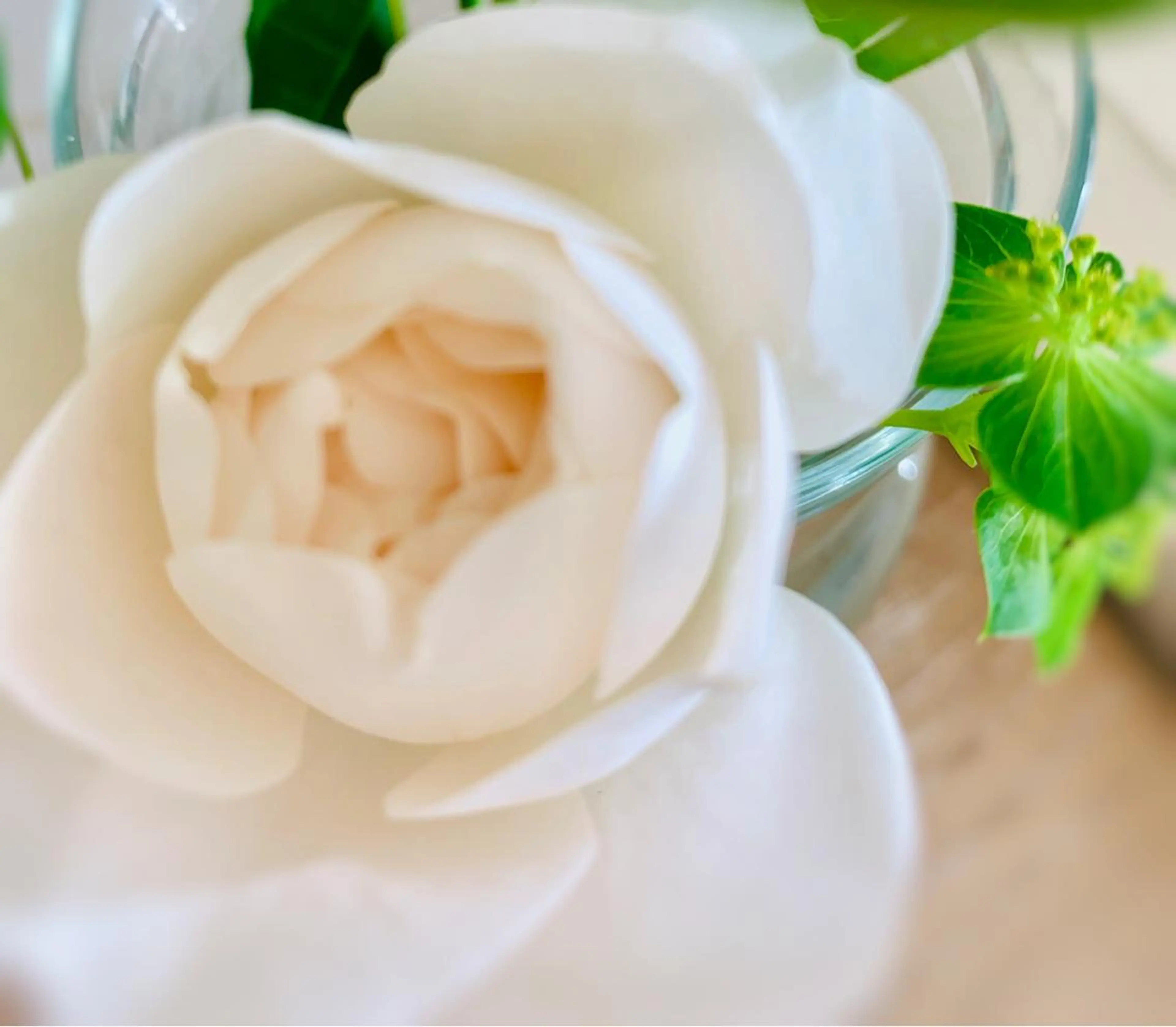 木場 ＊のマツエク・マツパデザイン