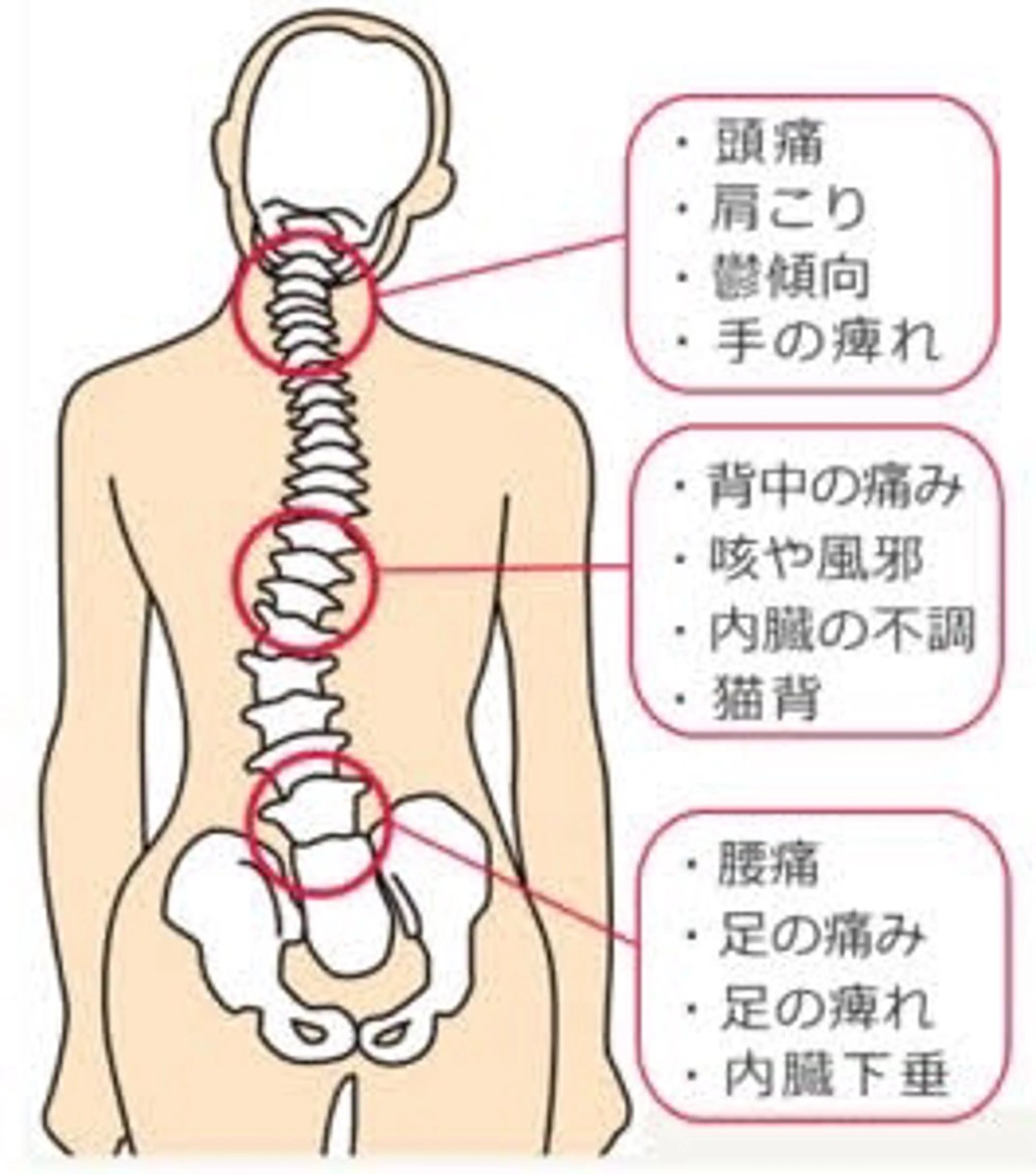全身ゆがみ矯正施術の写真
