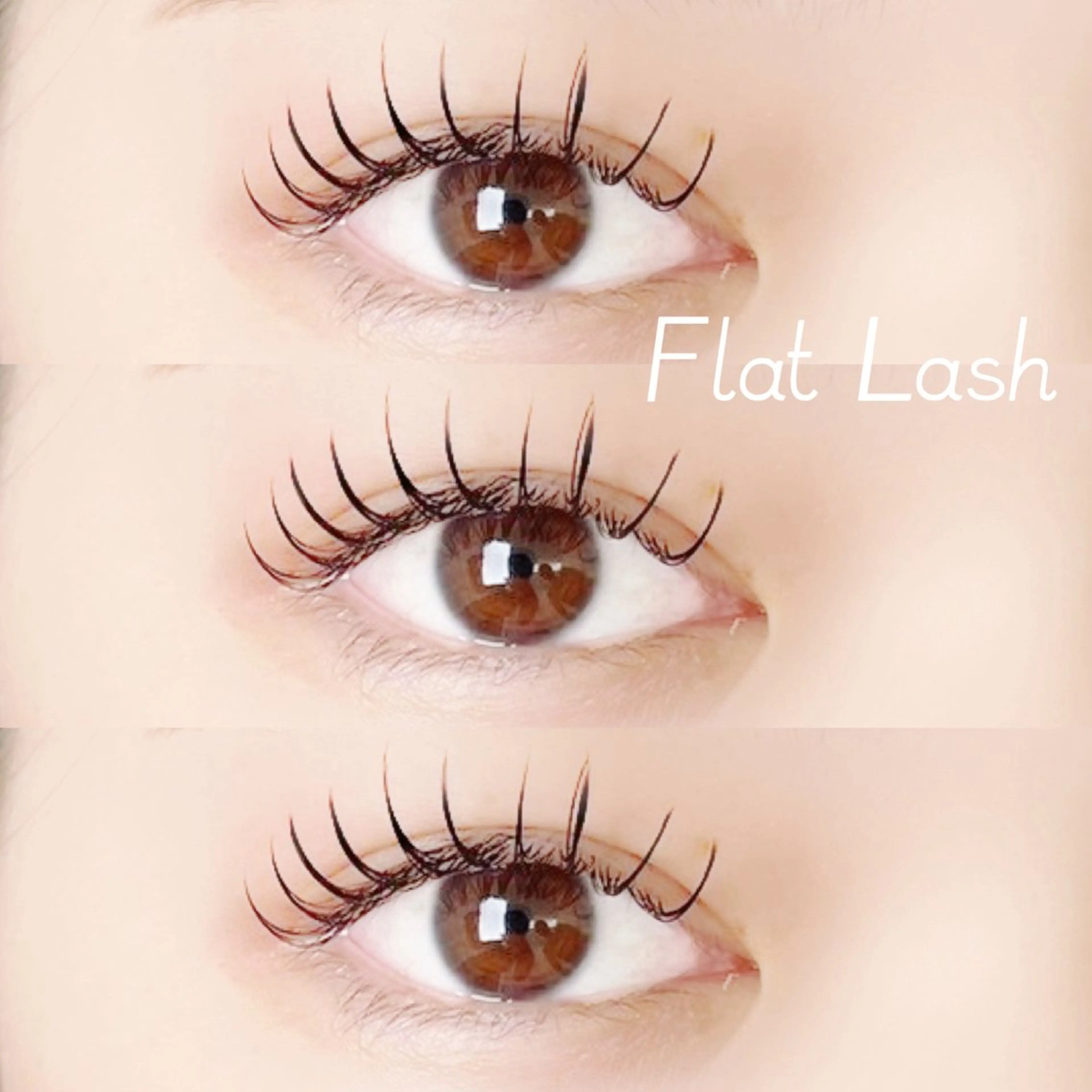 マツエク・マツパ muse momoのマツエク・マツパデザイン