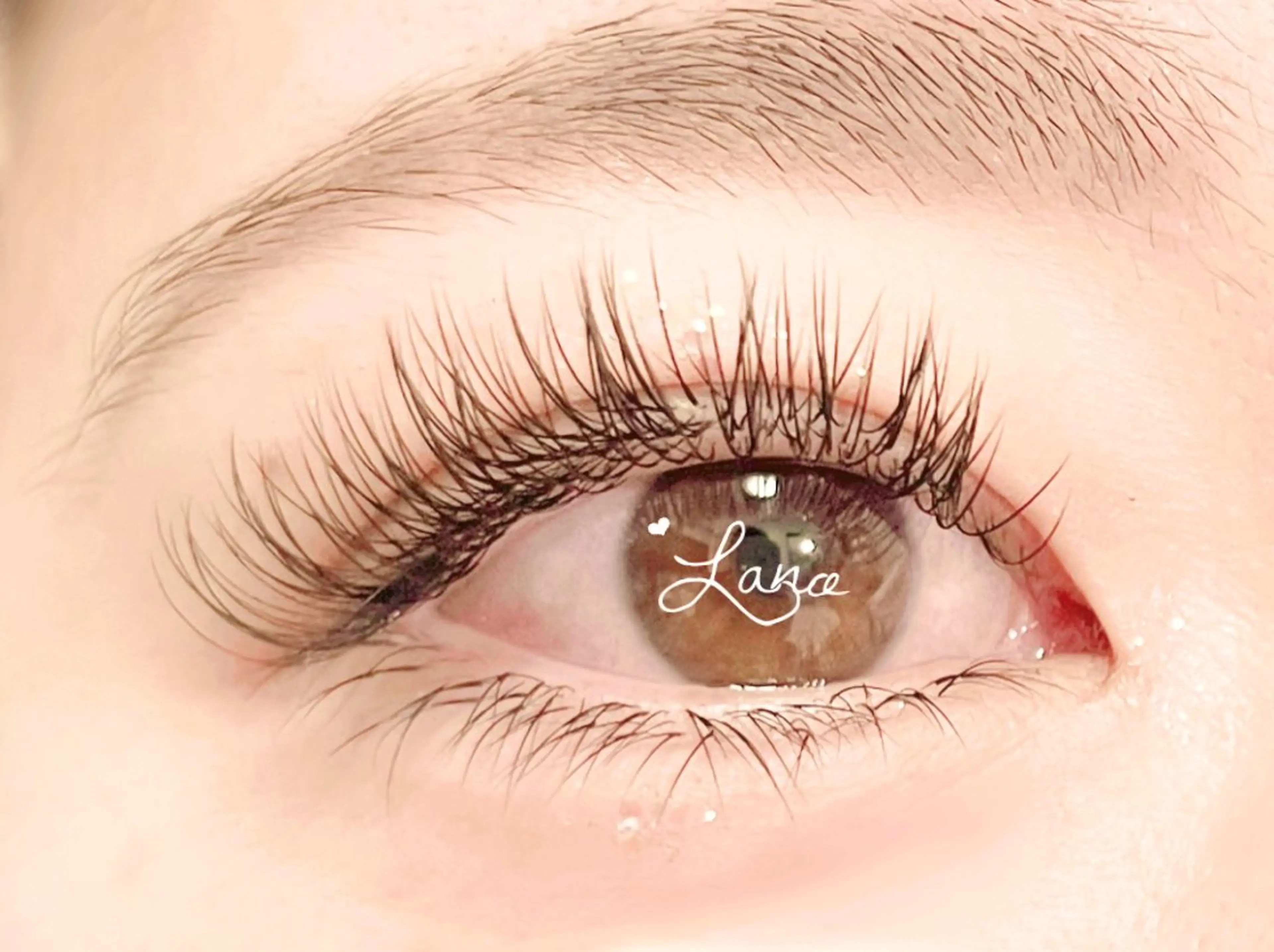 【NEW】カラエク🌼ブラウン/持続力UP🤩バインドロック/ダブルフラット/上１２０束/オフ🎀期間限定特別価格🌈✨の写真