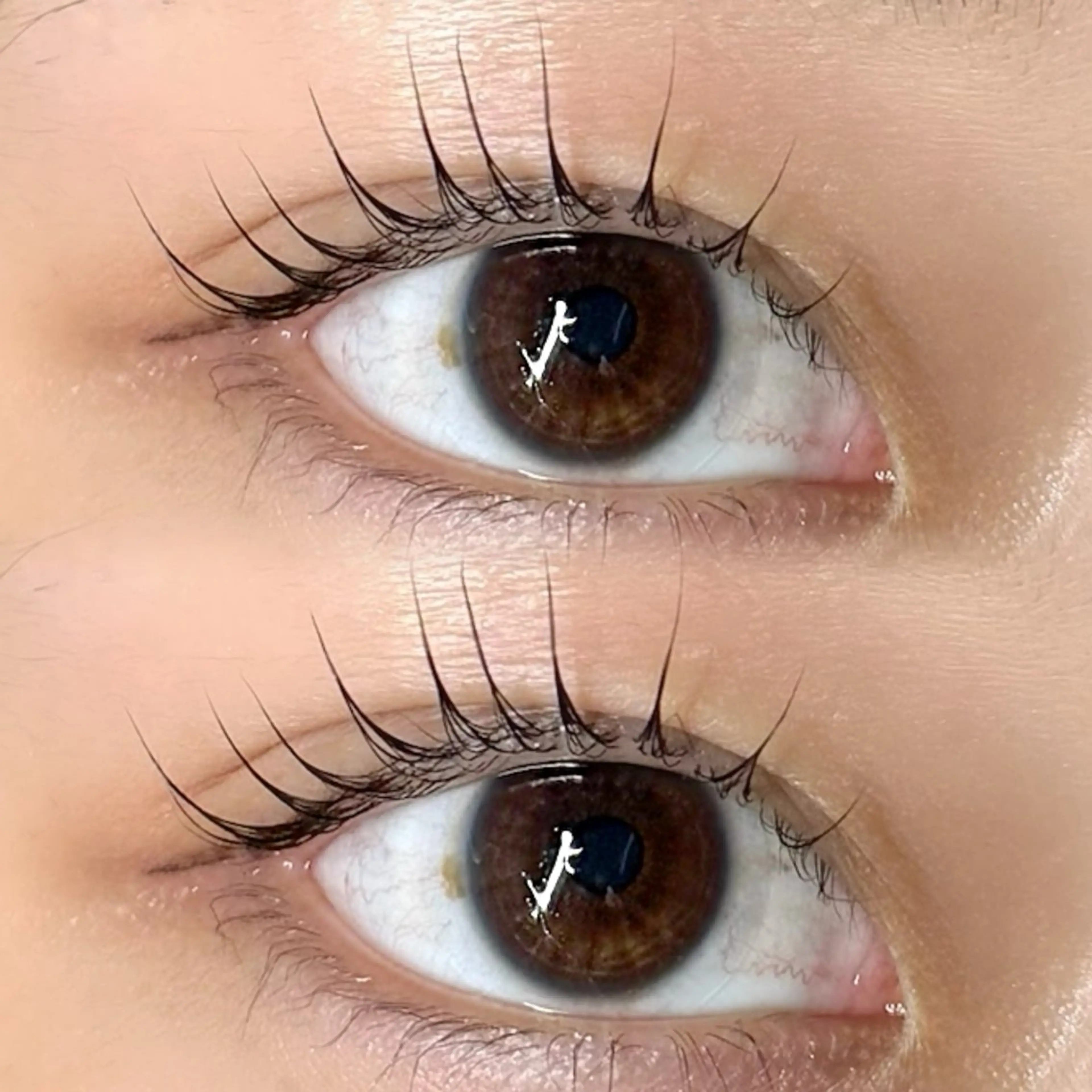 マツエク・マツパ マツパ 🩰yuri🩰 似合わせ/束感のマツエク・マツパデザイン