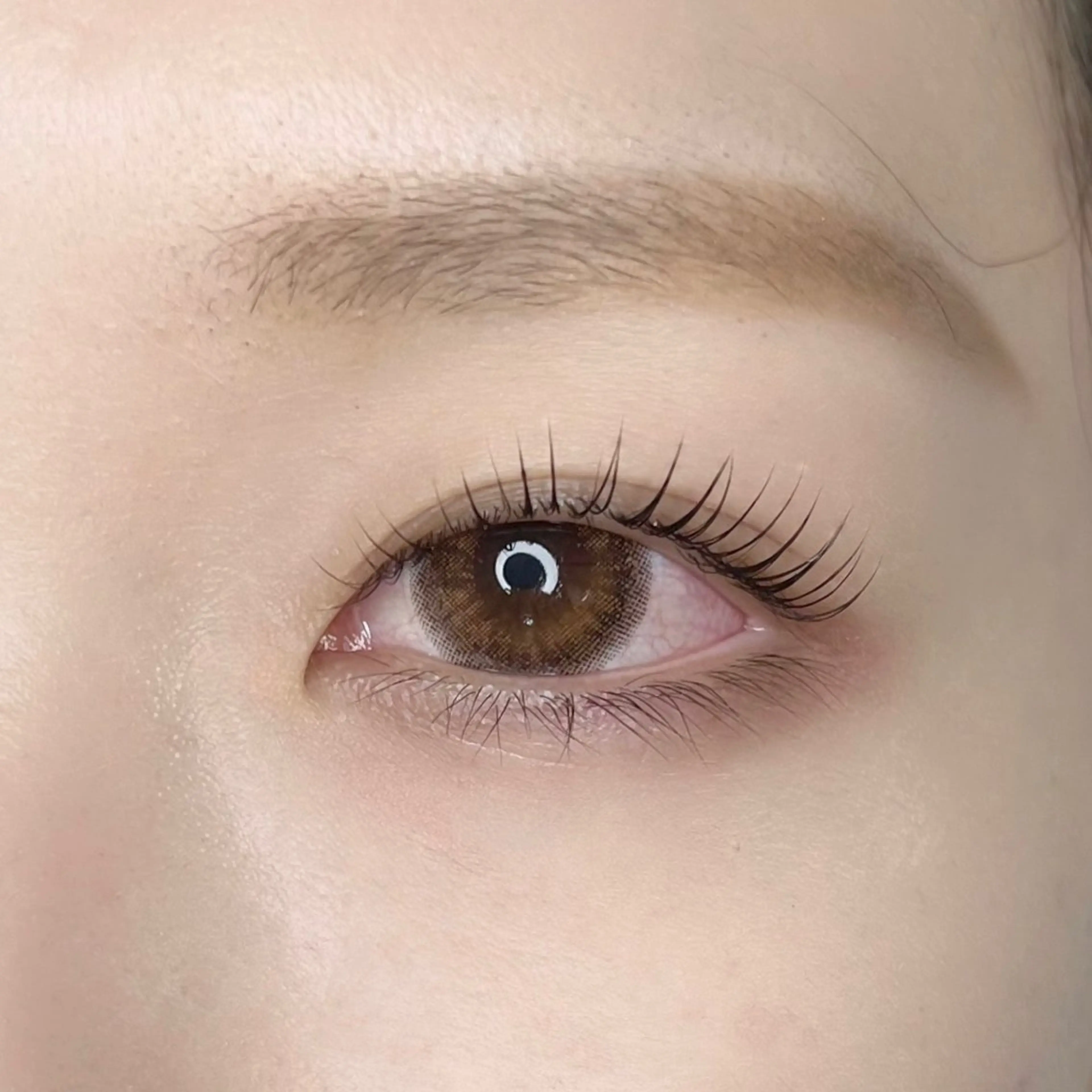 マツエク・マツパ Lilio Yuriのエステ・リラクイメージ