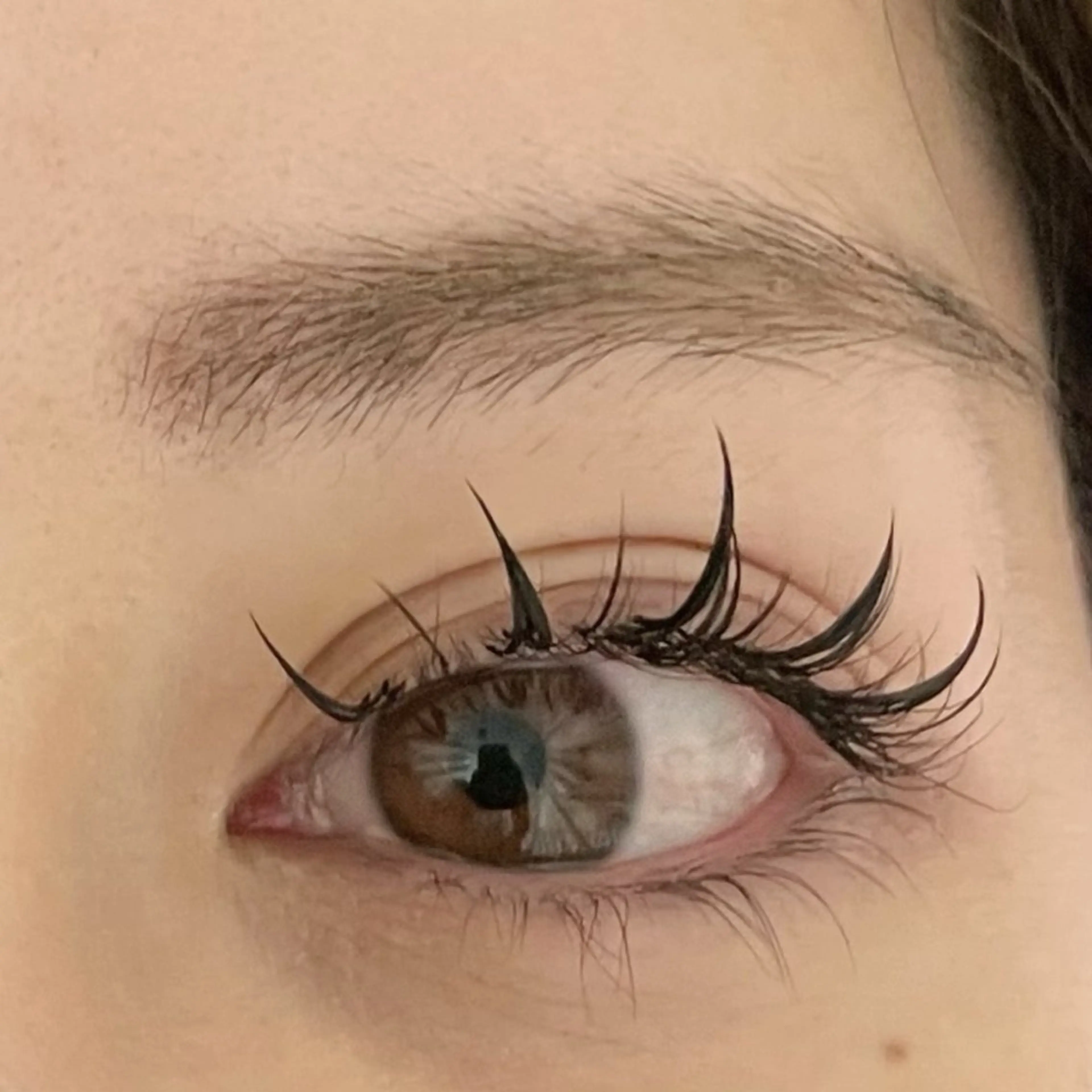 ワンホン400本の写真