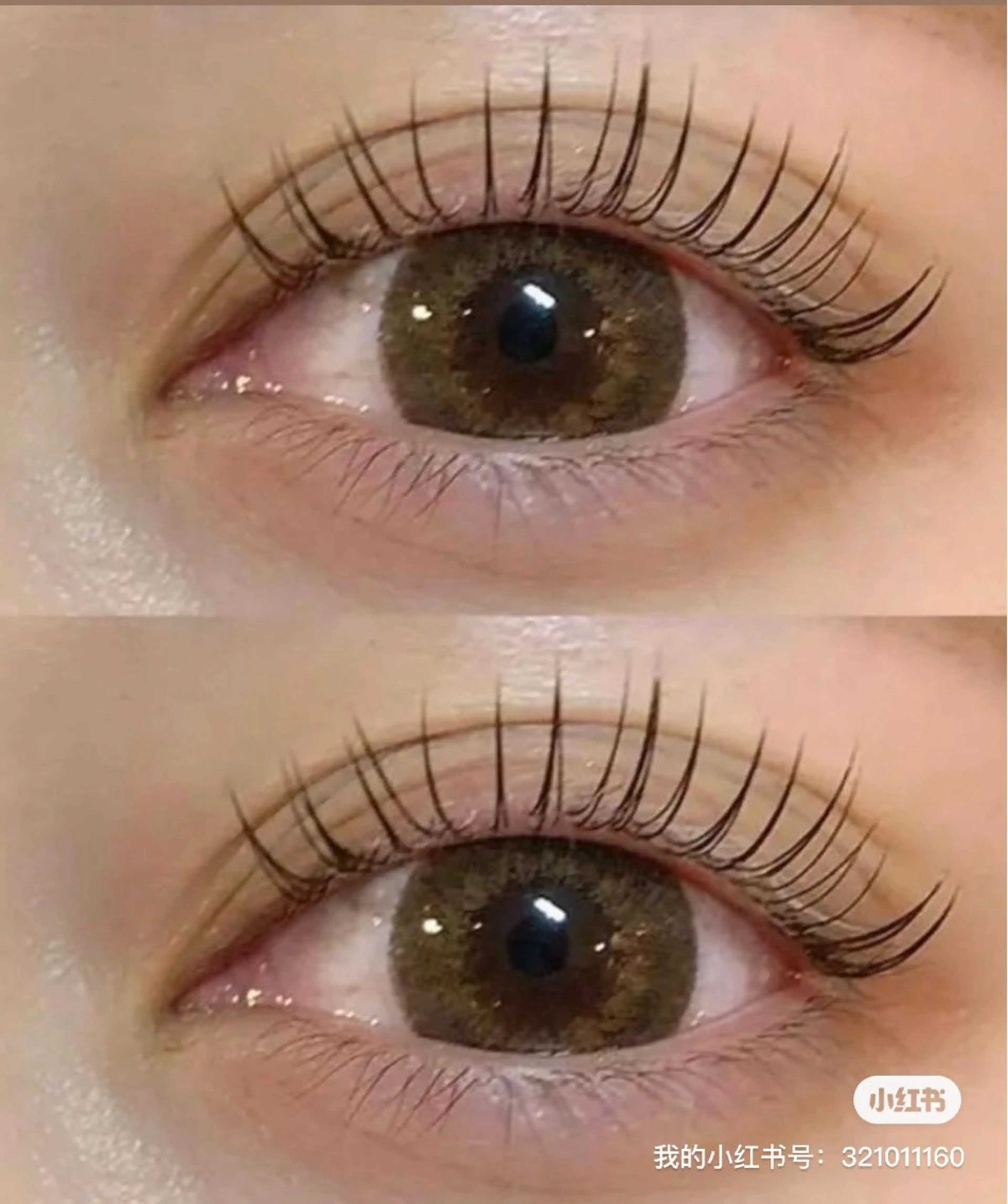 大人気🍭　高級国產フラットラッシュ100本➕美容液付きコテイングの写真