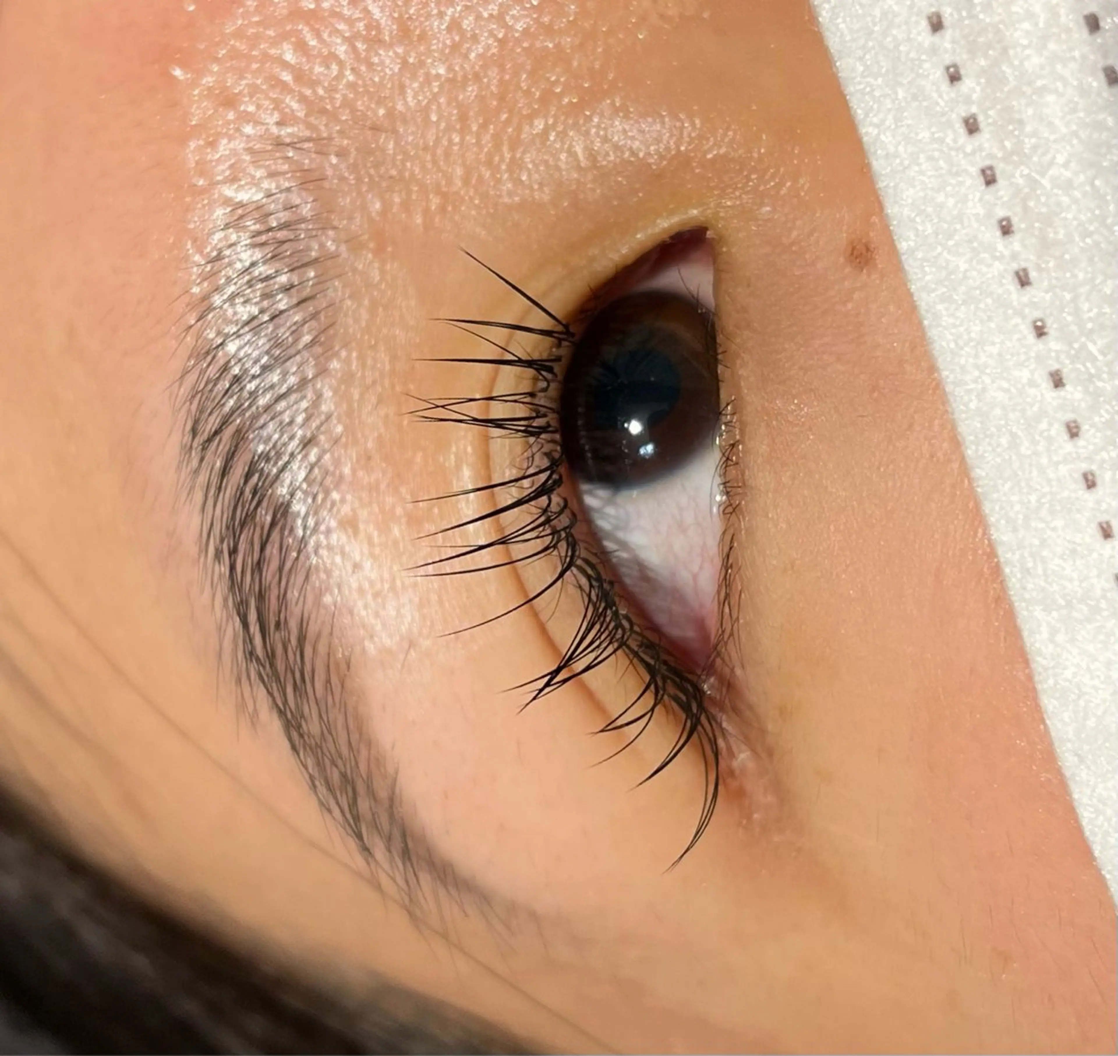 マツエク・マツパ シルク MAQUIA蒲田店 横山のマツエク・マツパデザイン