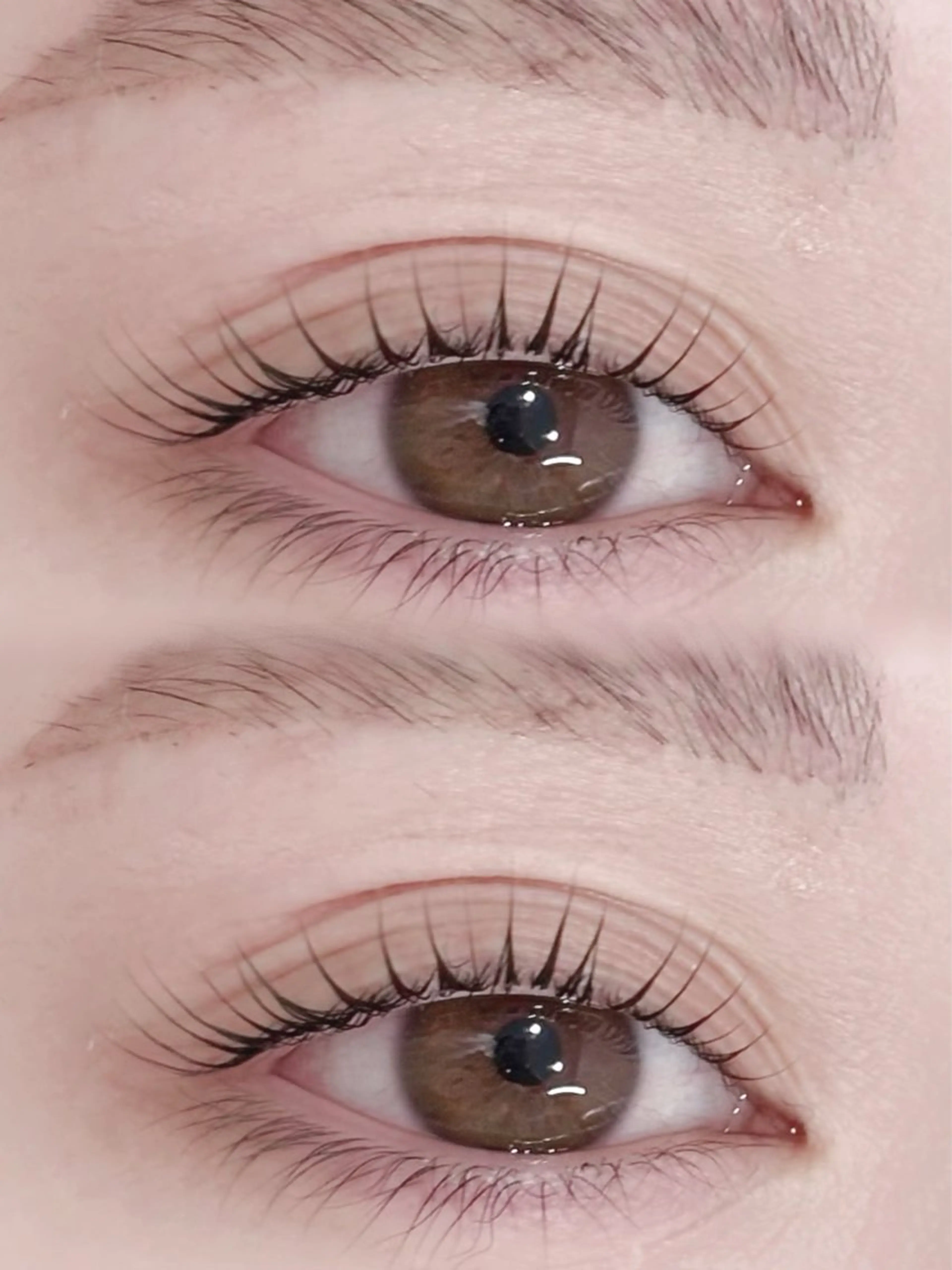 20時​〜​限定🌙🎀潤いまつ毛パーマ（上のみ）&アイブロウwax🎀の写真