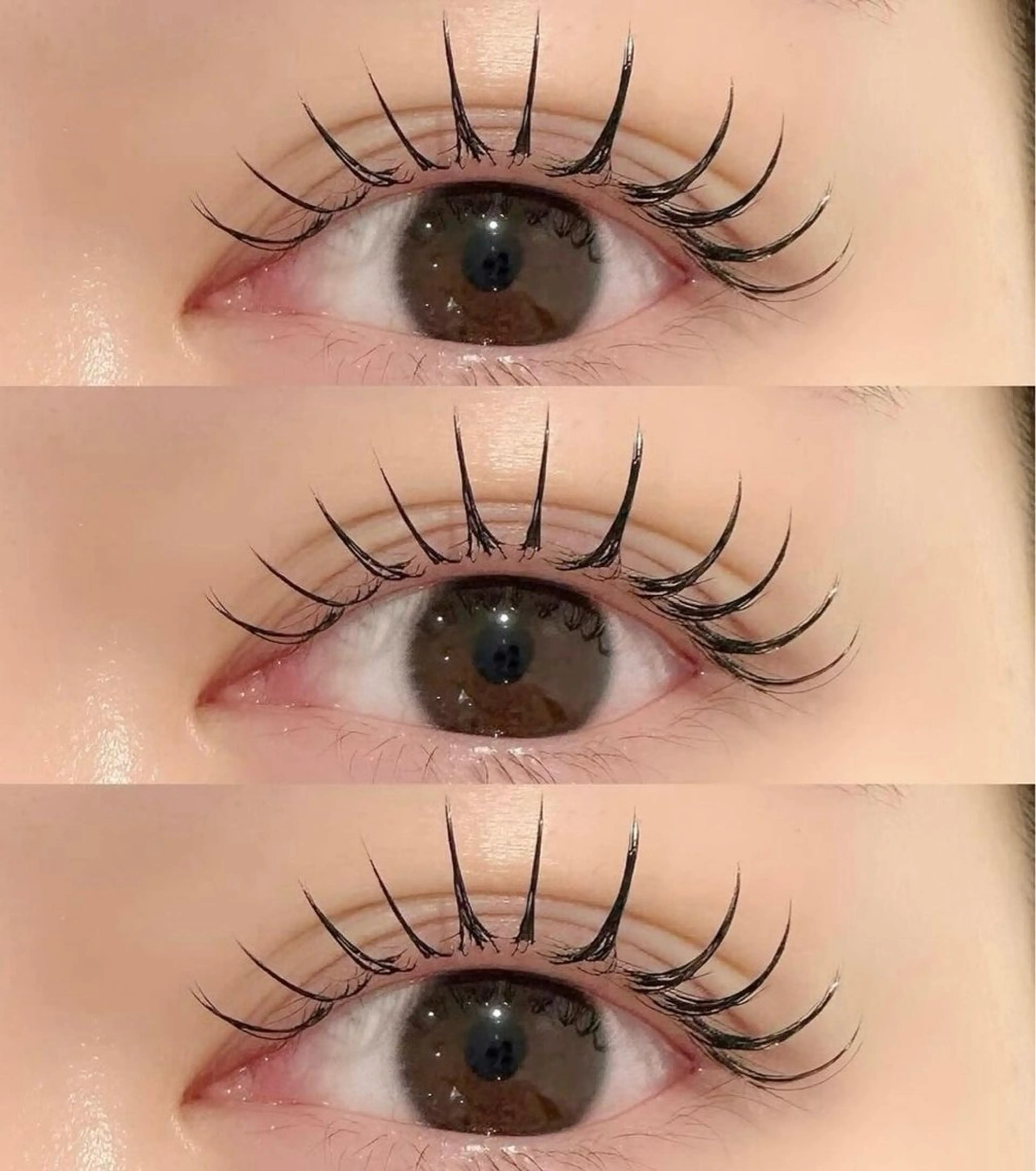 限定クーポン✨️【口コミを書いてくださる方】 🌹ダブルフラットラッシュ🌹 (140本)アイシャンプー付きの写真