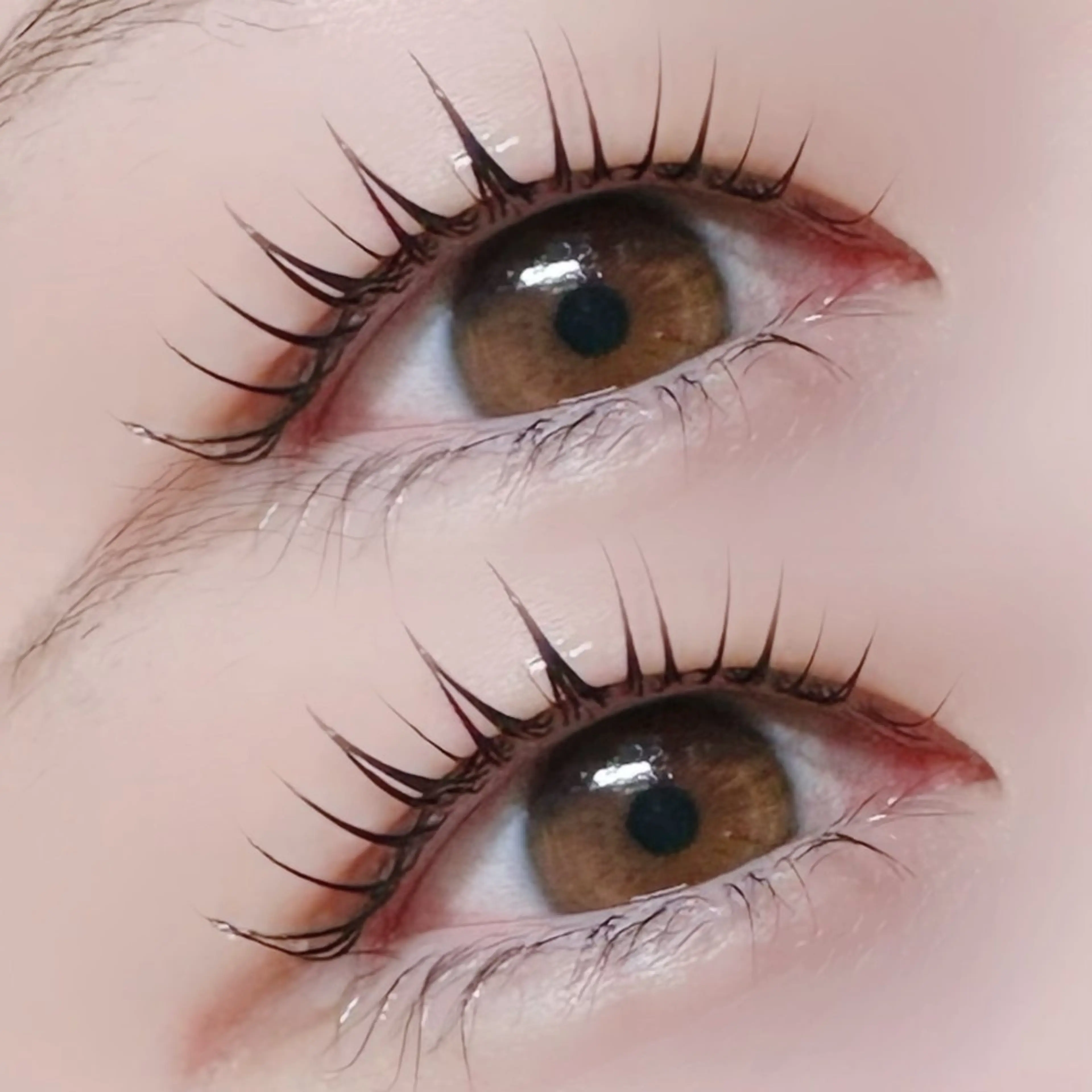 マツエク・マツパ 一重×まつ毛パーマ claire BEAUTY SALON所属・若林 瞳華のマツエク・マツパデザイン