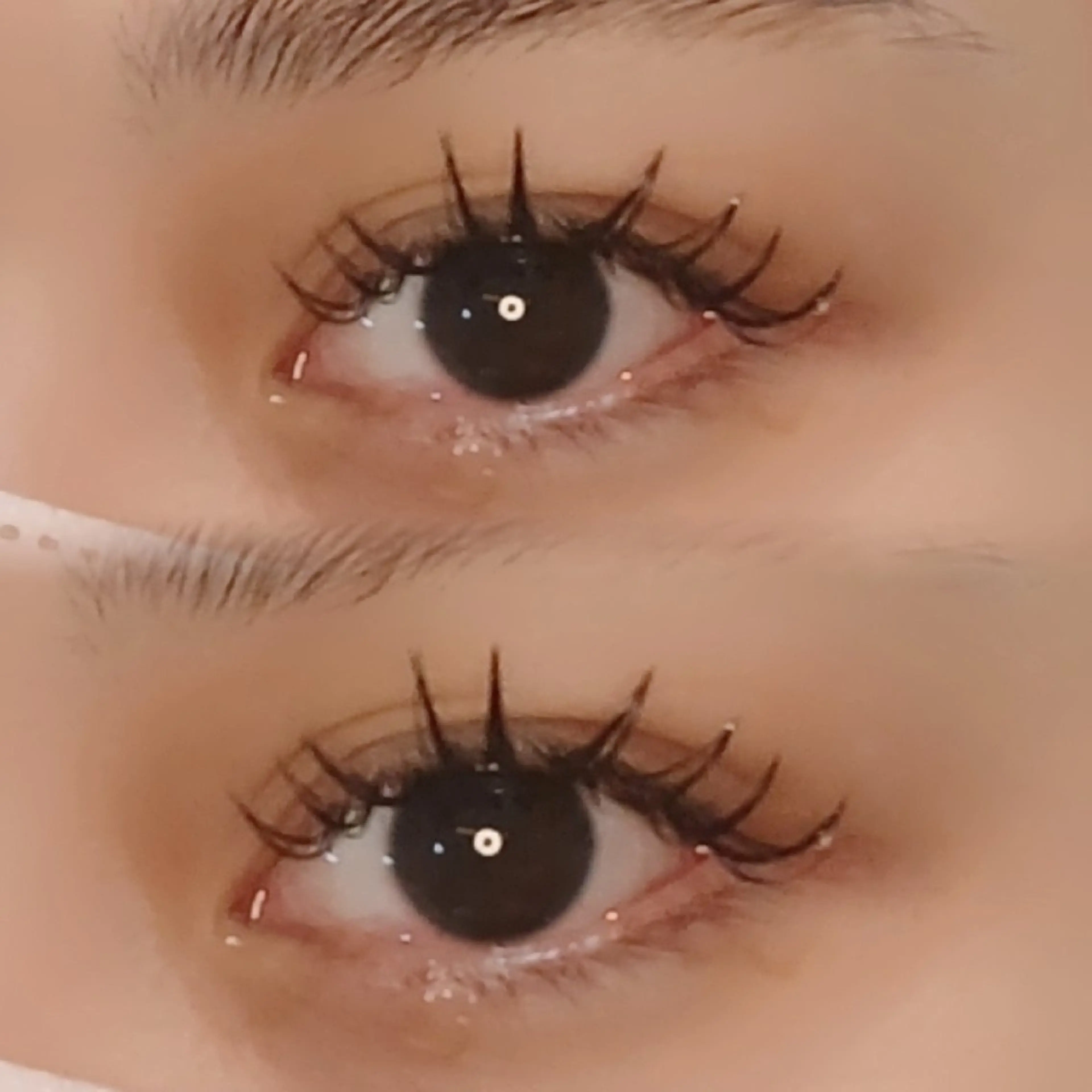 バインドロック 100束💋🖤＜シングル150本程のボリューム＞コーティング付き〔 土日祝+550円 〕の写真