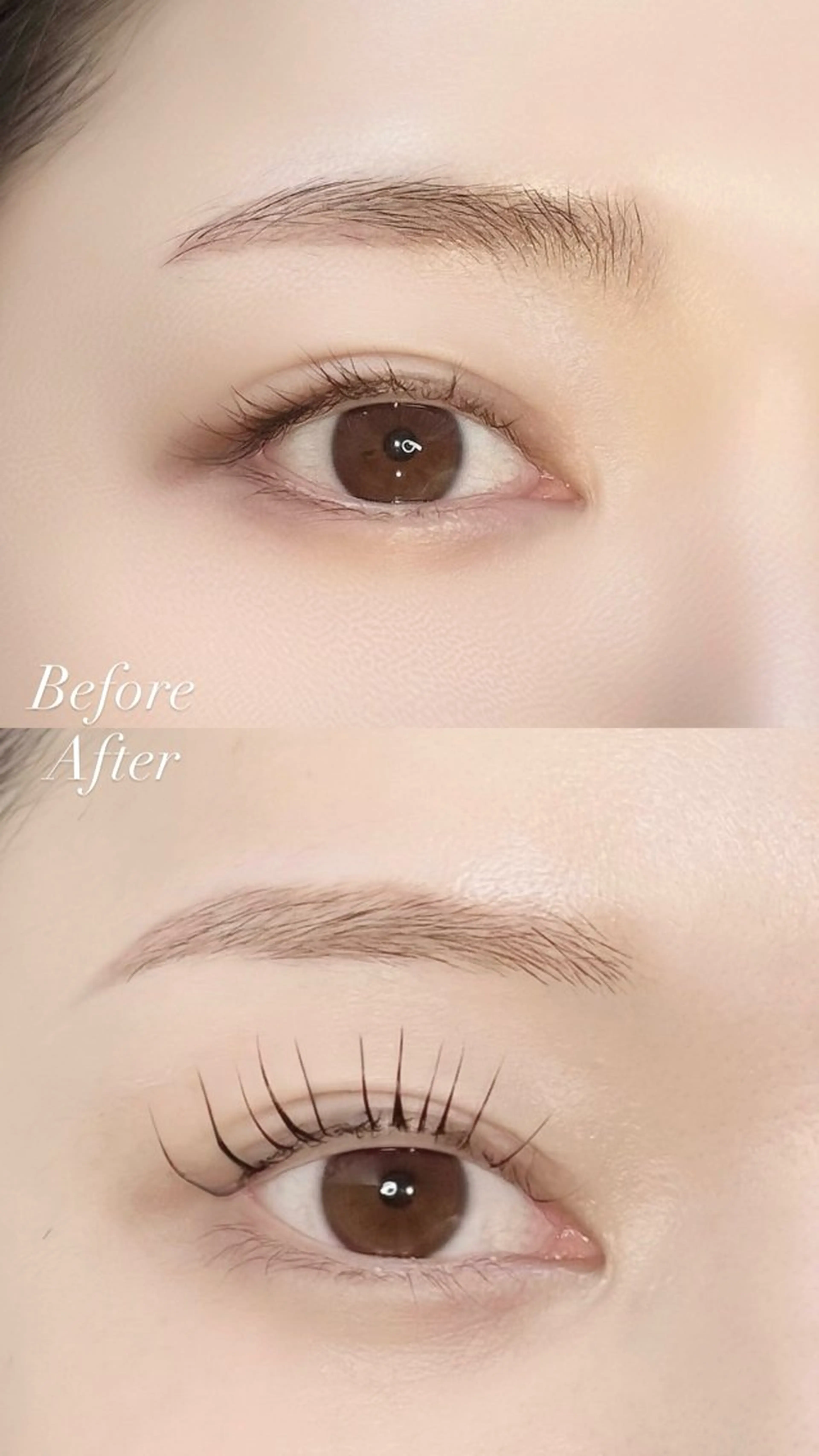 マツエク・マツパ マツパ 韓国式まつ毛パーマ 🦋SHION🩵のマツエク・マツパデザイン