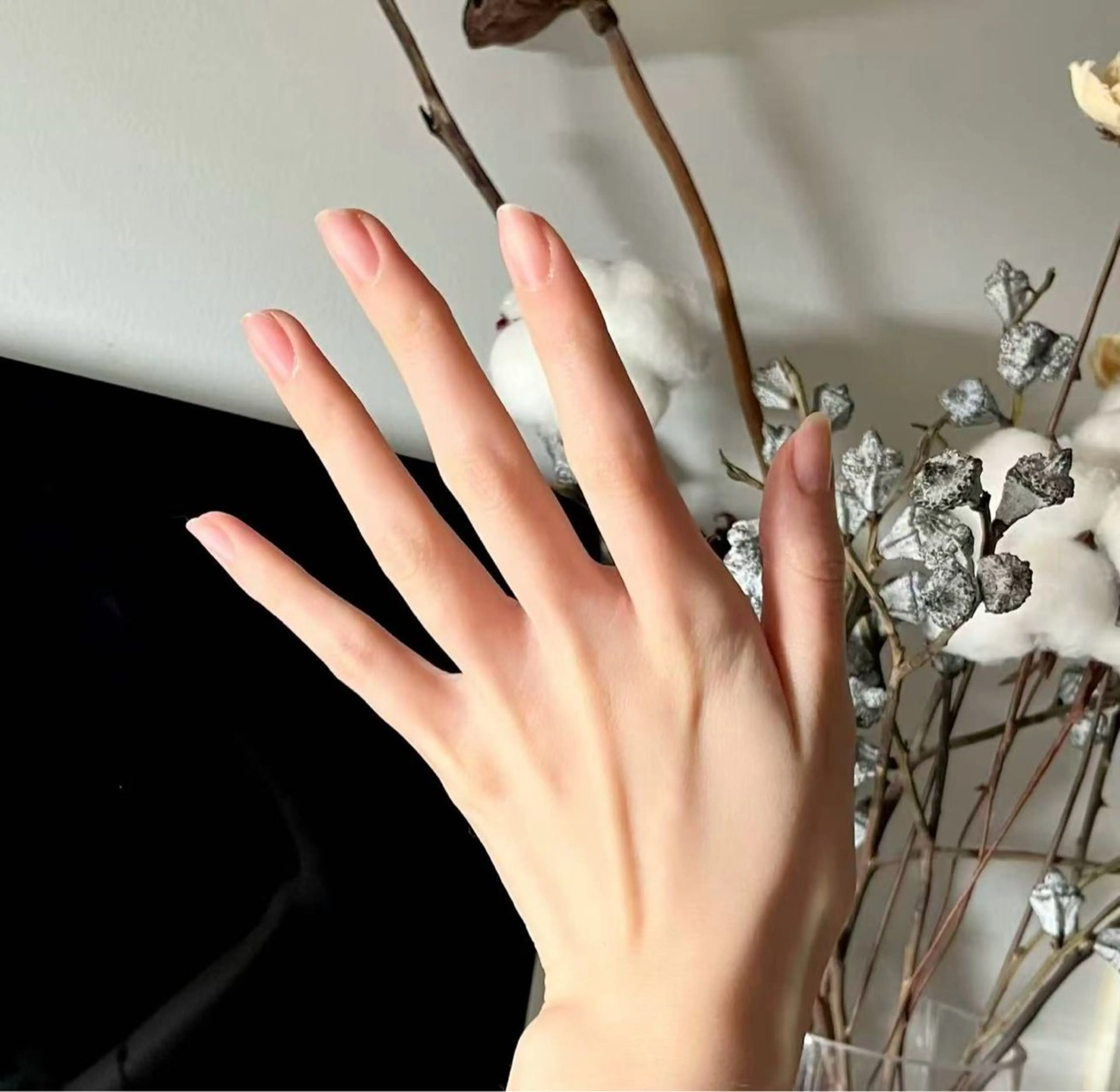 ネイルオフ「モデル」の写真