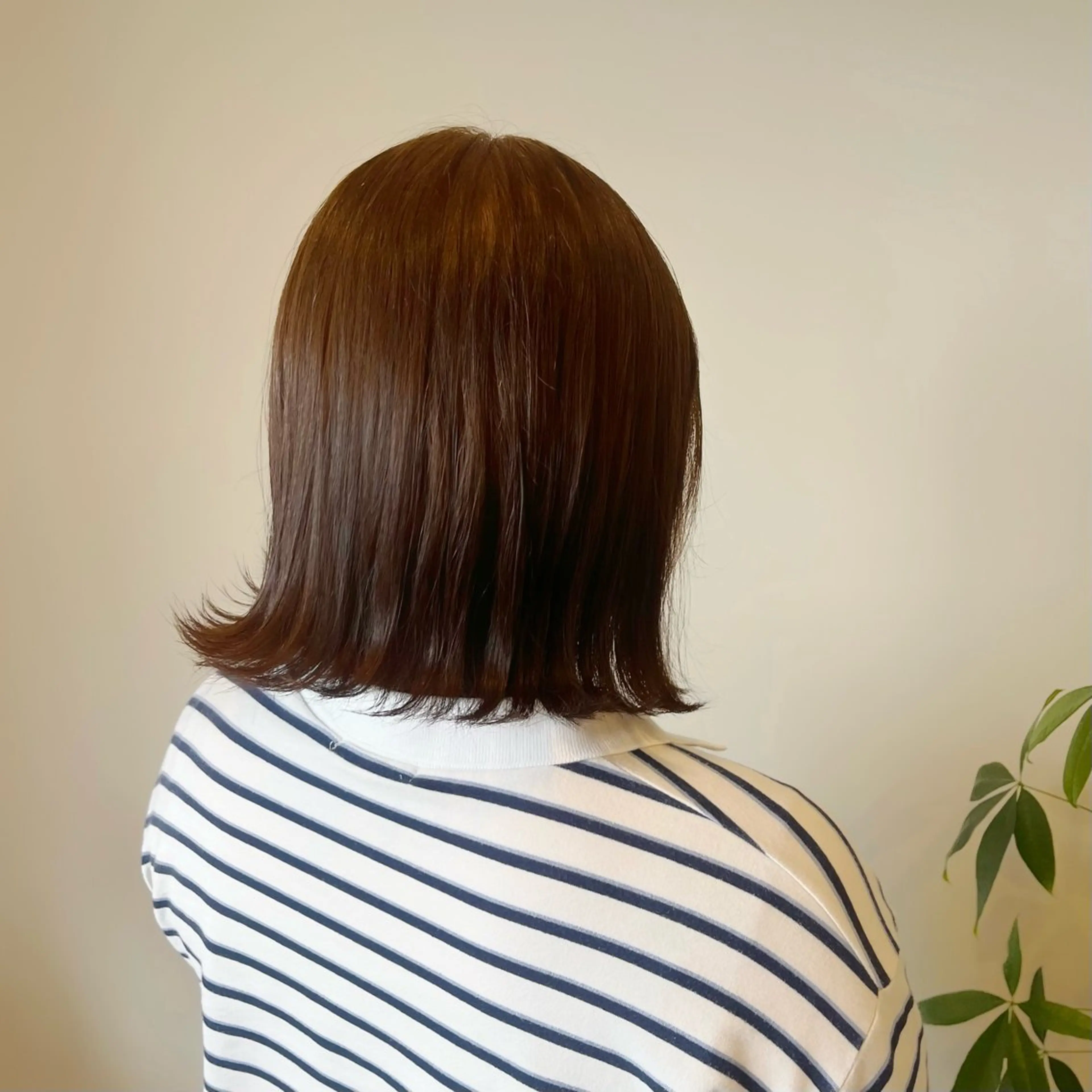 〈ミディアム限定〉カラー＋ 4stepトリートメント 🫧の写真