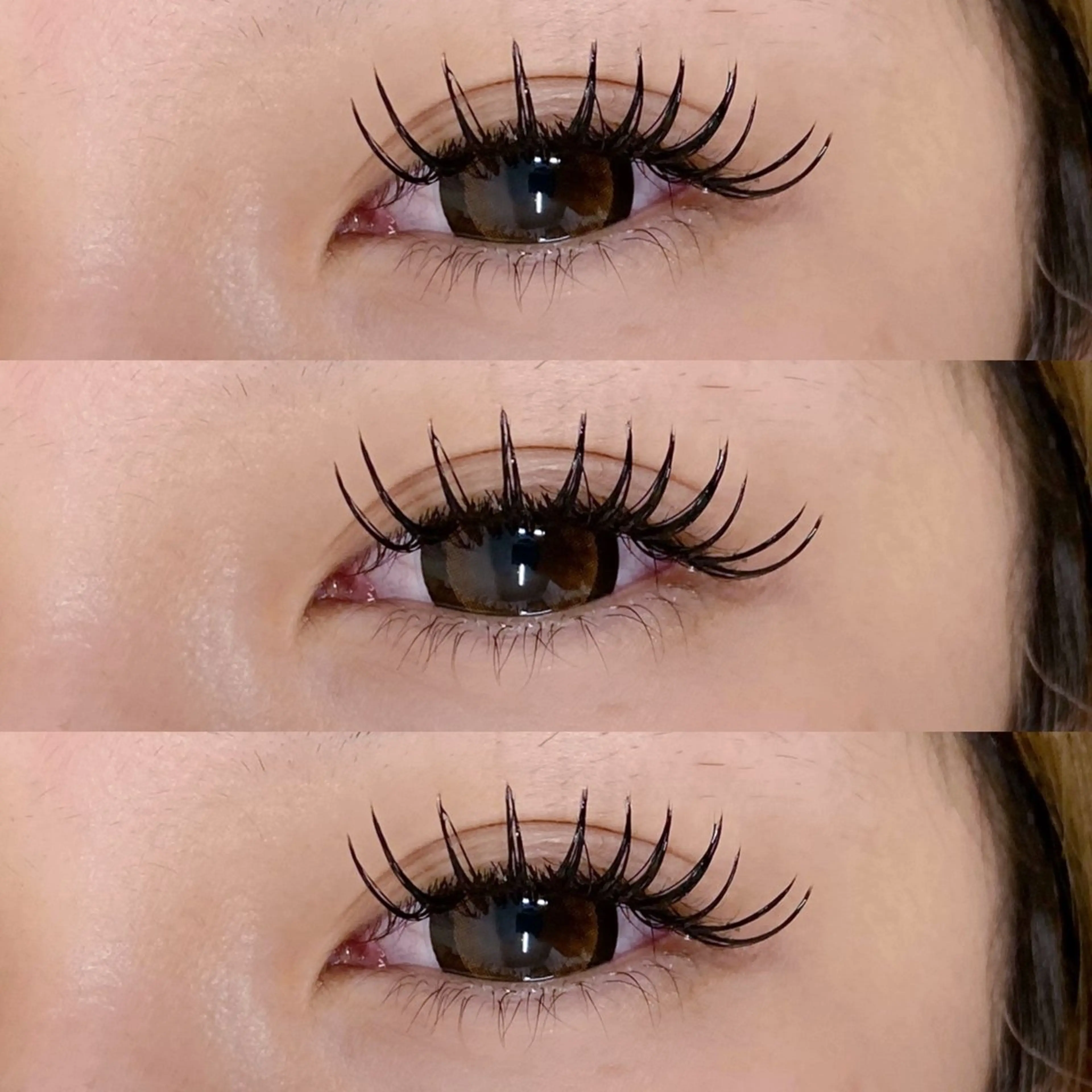 《ご新規様限定クーポン》1人1回のみ🉐【オフ込み】バインドロック120束❕の写真