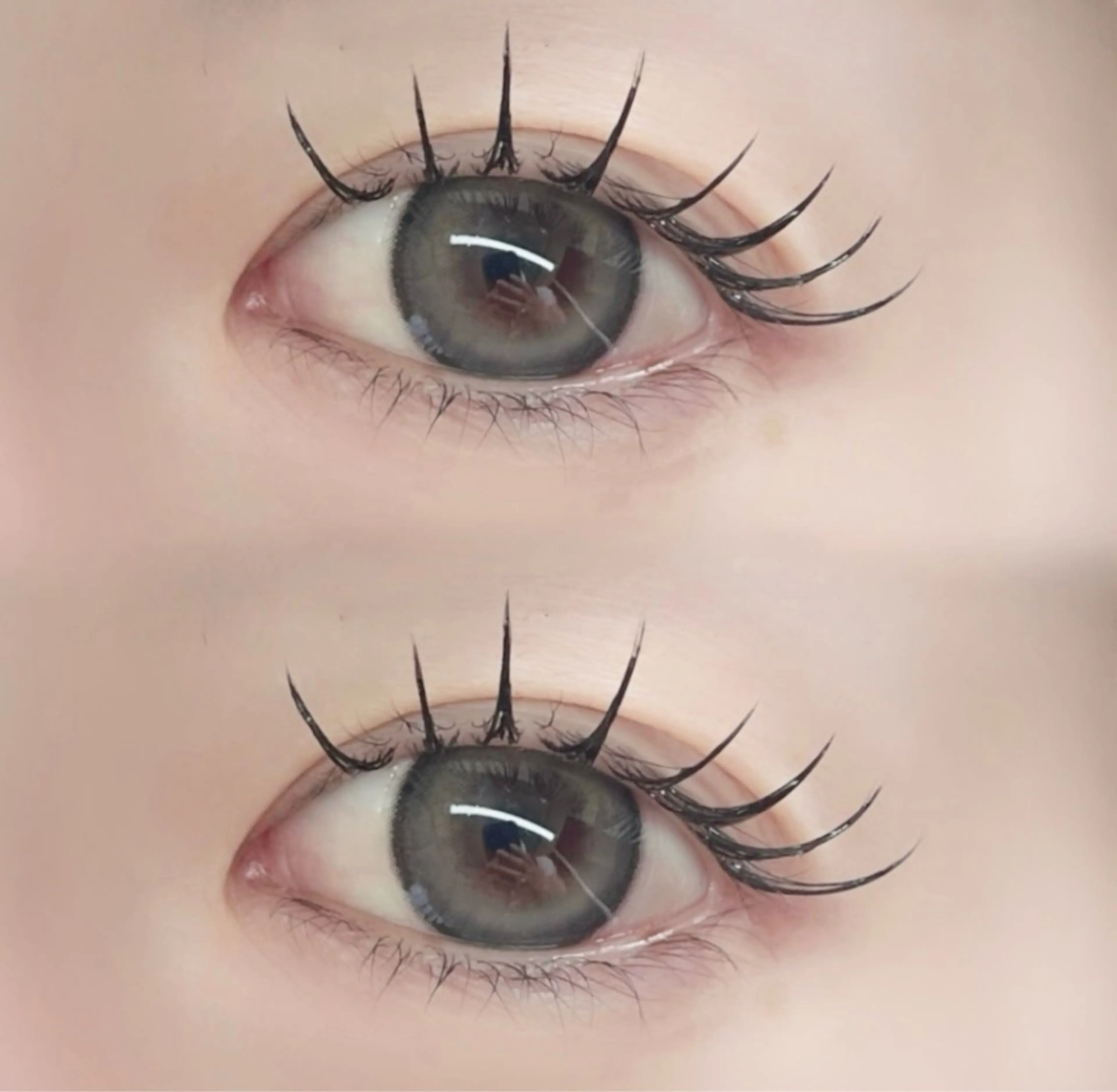 [12月限定価格/ LED変更可]  フラットラッシュ140本🎄の写真