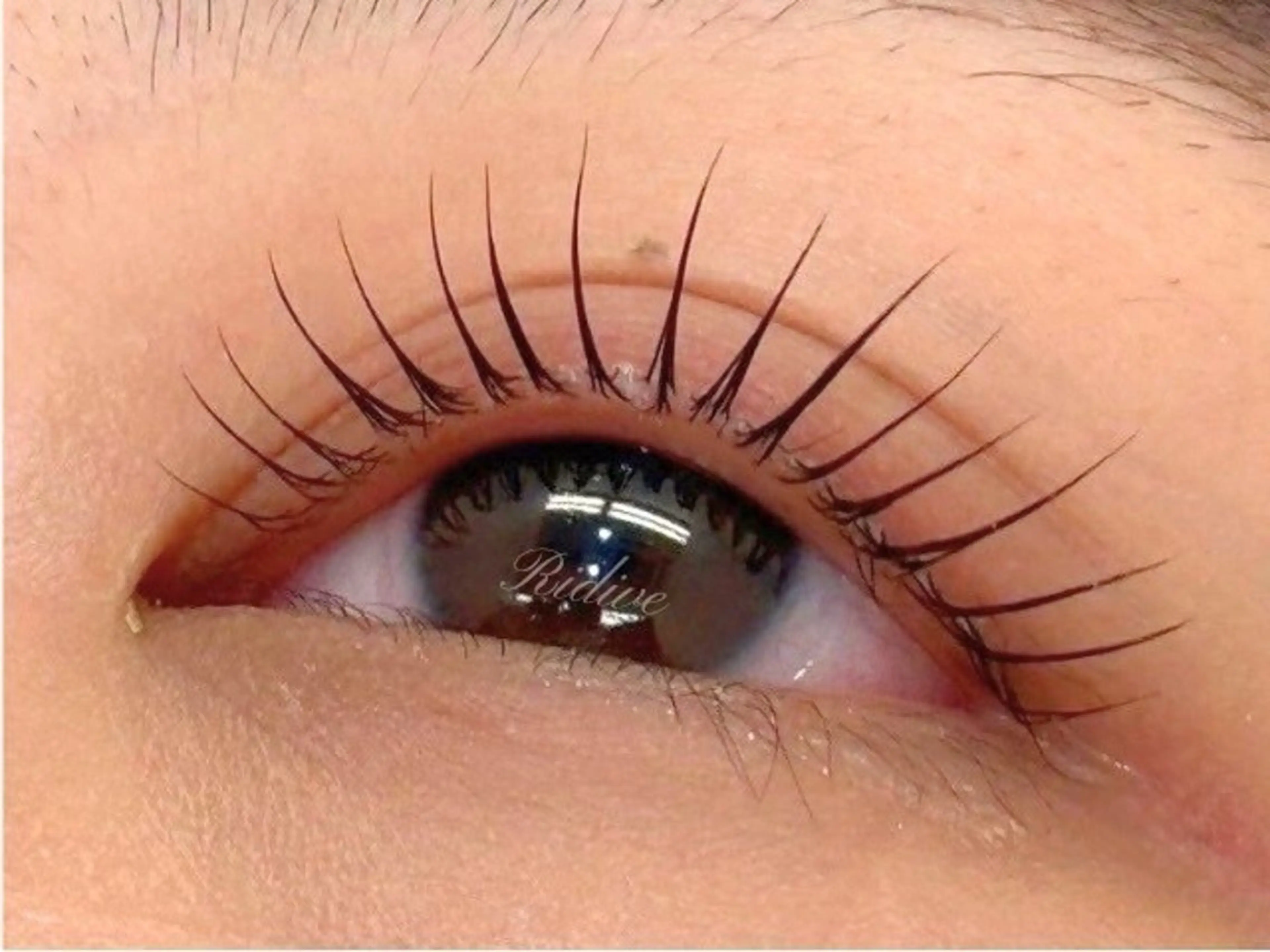 パーマ アイブロウサロンRidive武蔵小杉所属・Ridive Endo🍙の眉毛・アイブロウイメージ