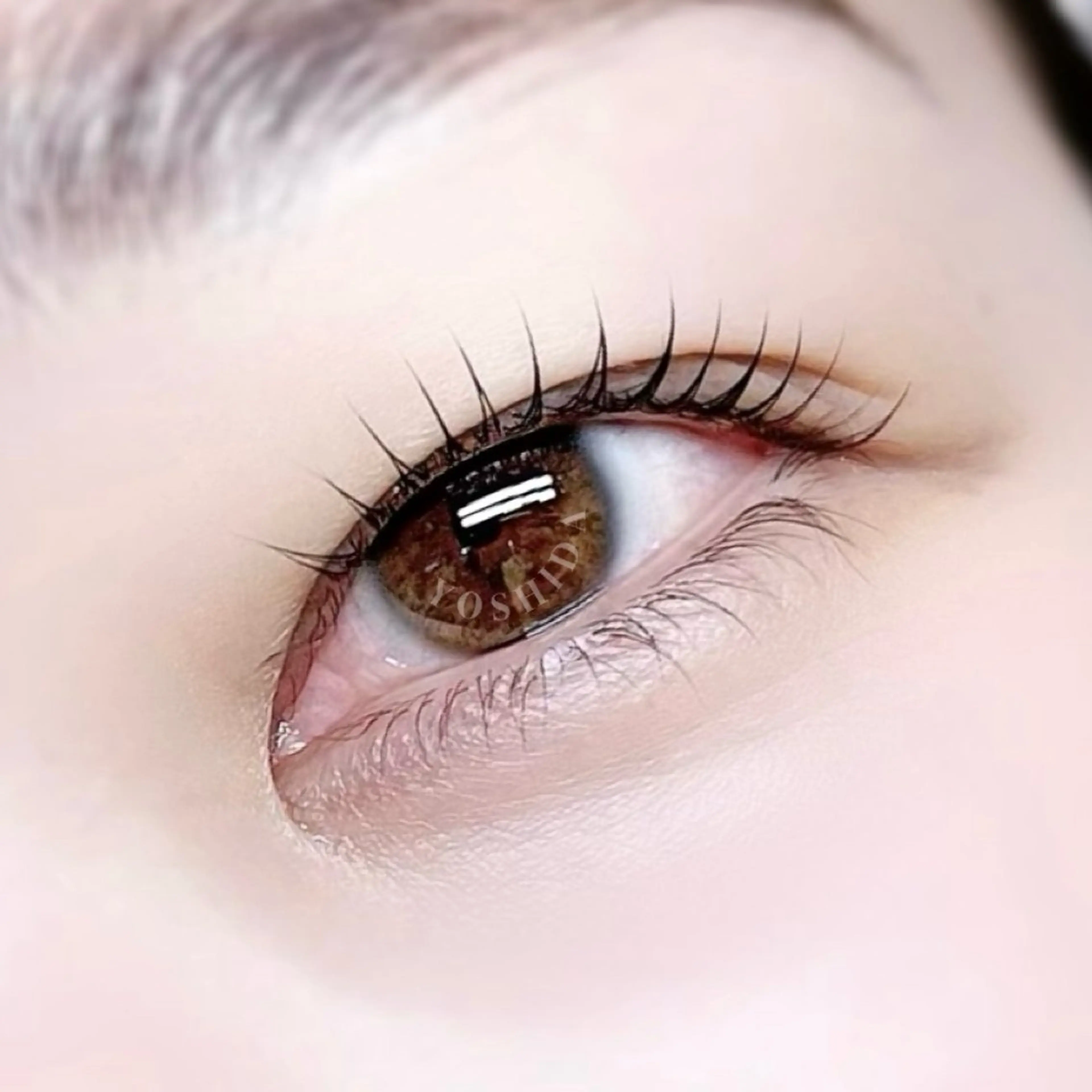 マツエク・マツパ ケラチンラッシュリフト 【一重┊︎奥二重】 YOSHIDA🌙のマツエク・マツパデザイン