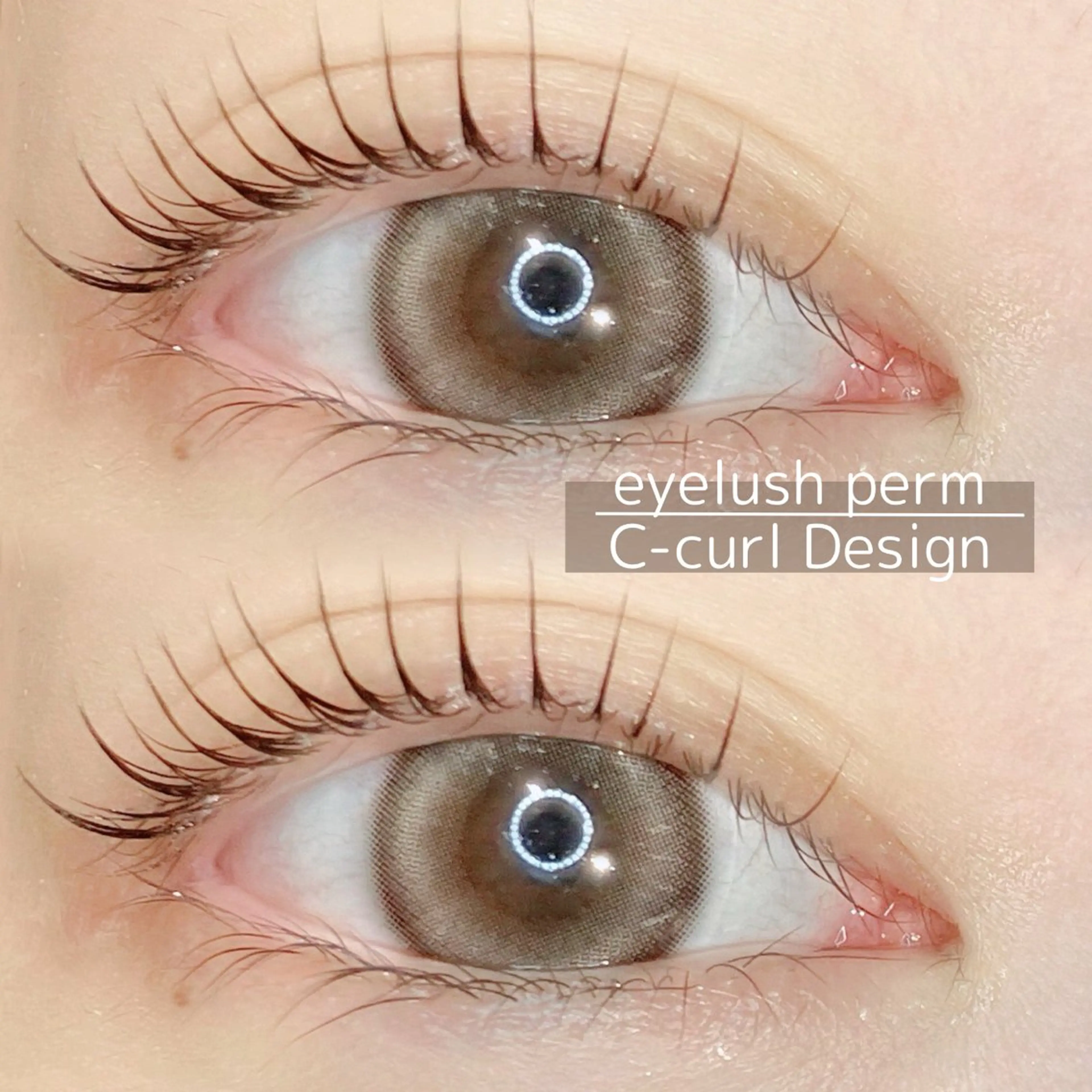 マツエク・マツパ マツパ スズキアキエ/ 髪質改善/艶髪カラーのヘアスタイル