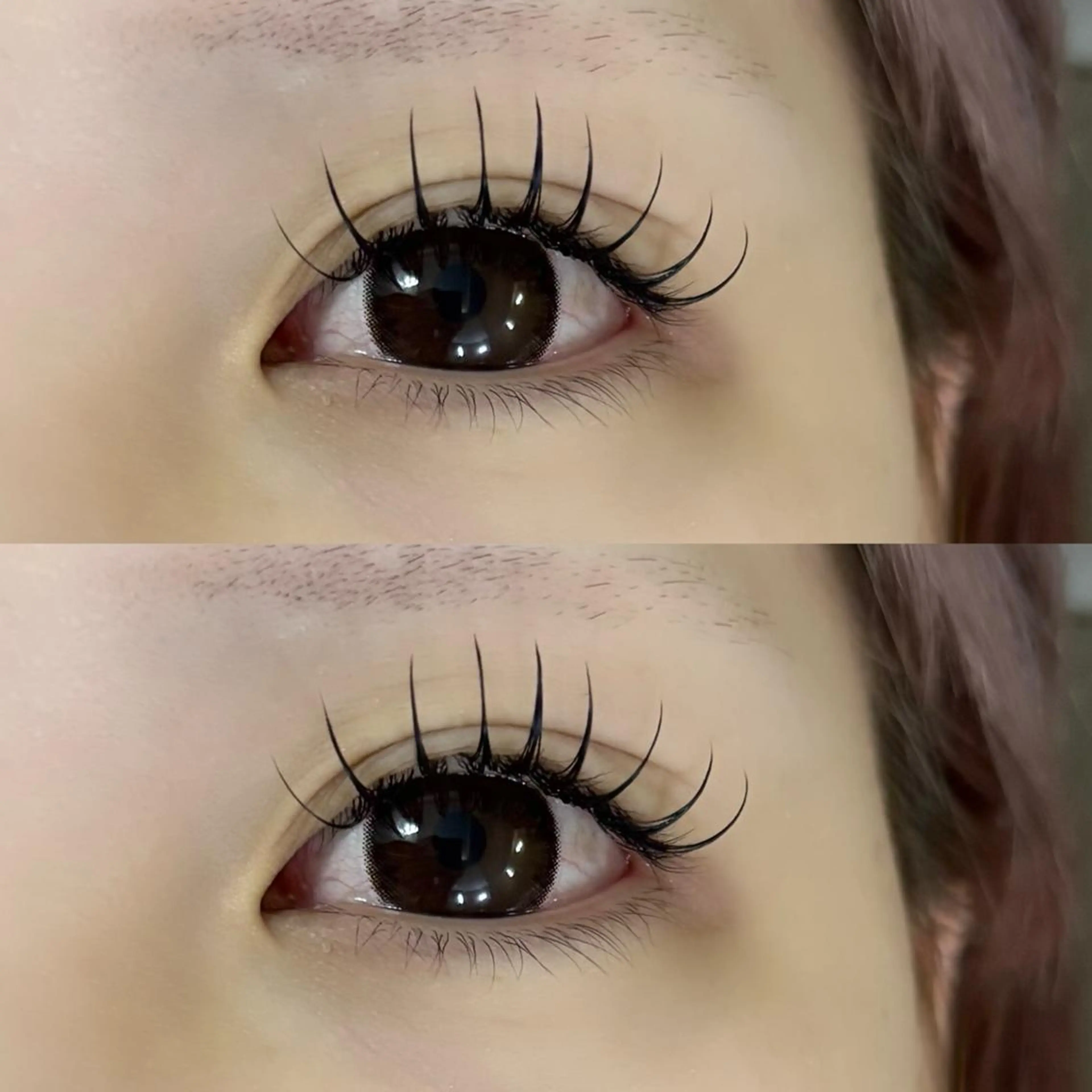 ❤️‍🔥ゲリラクーポン❤️‍🔥フラットラッシュ140本の写真