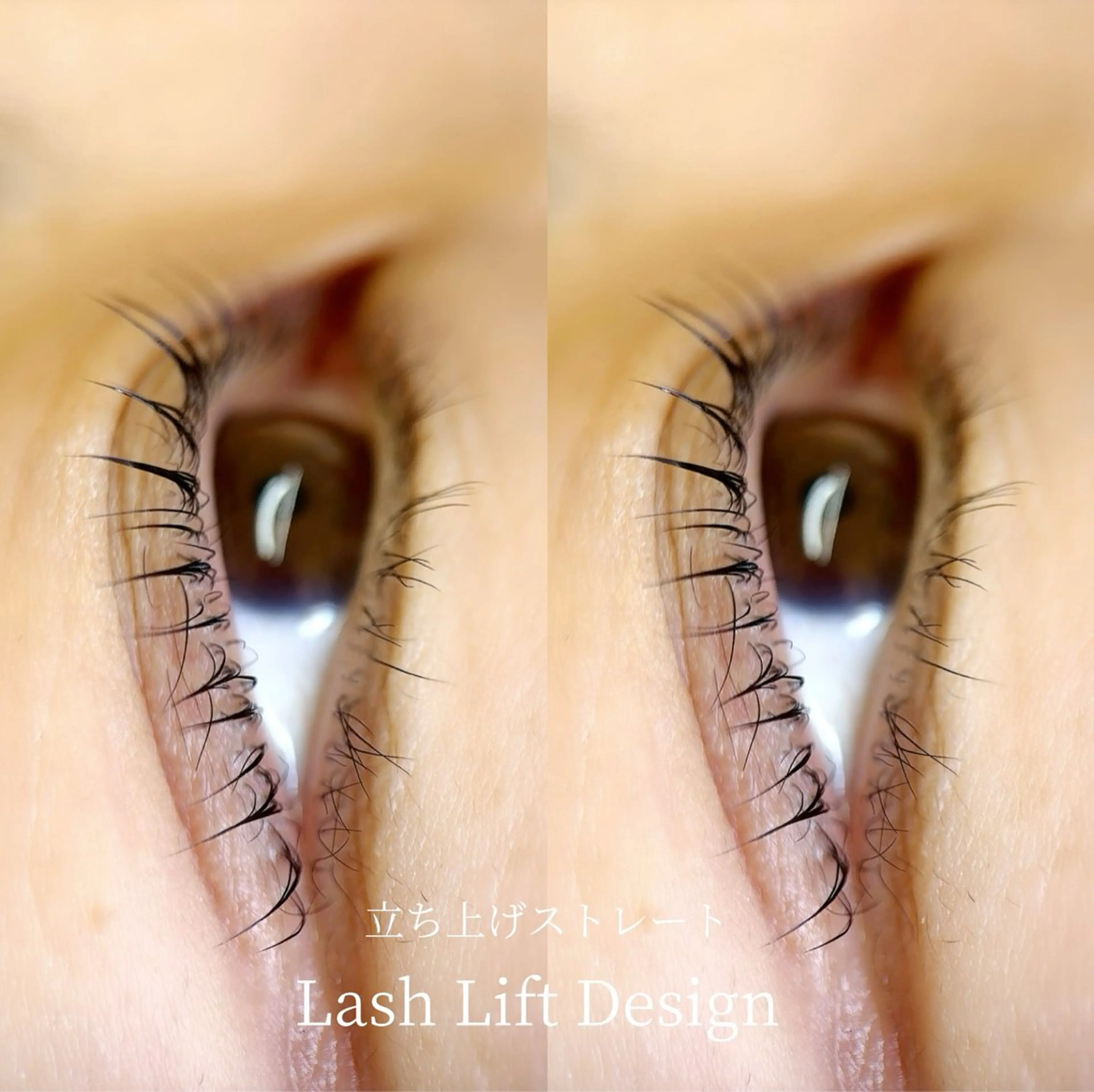 マツエク・マツパ 高蔵寺まつげ所属・高蔵寺まつげ 🌿 YANAの眉毛・アイブロウイメージ