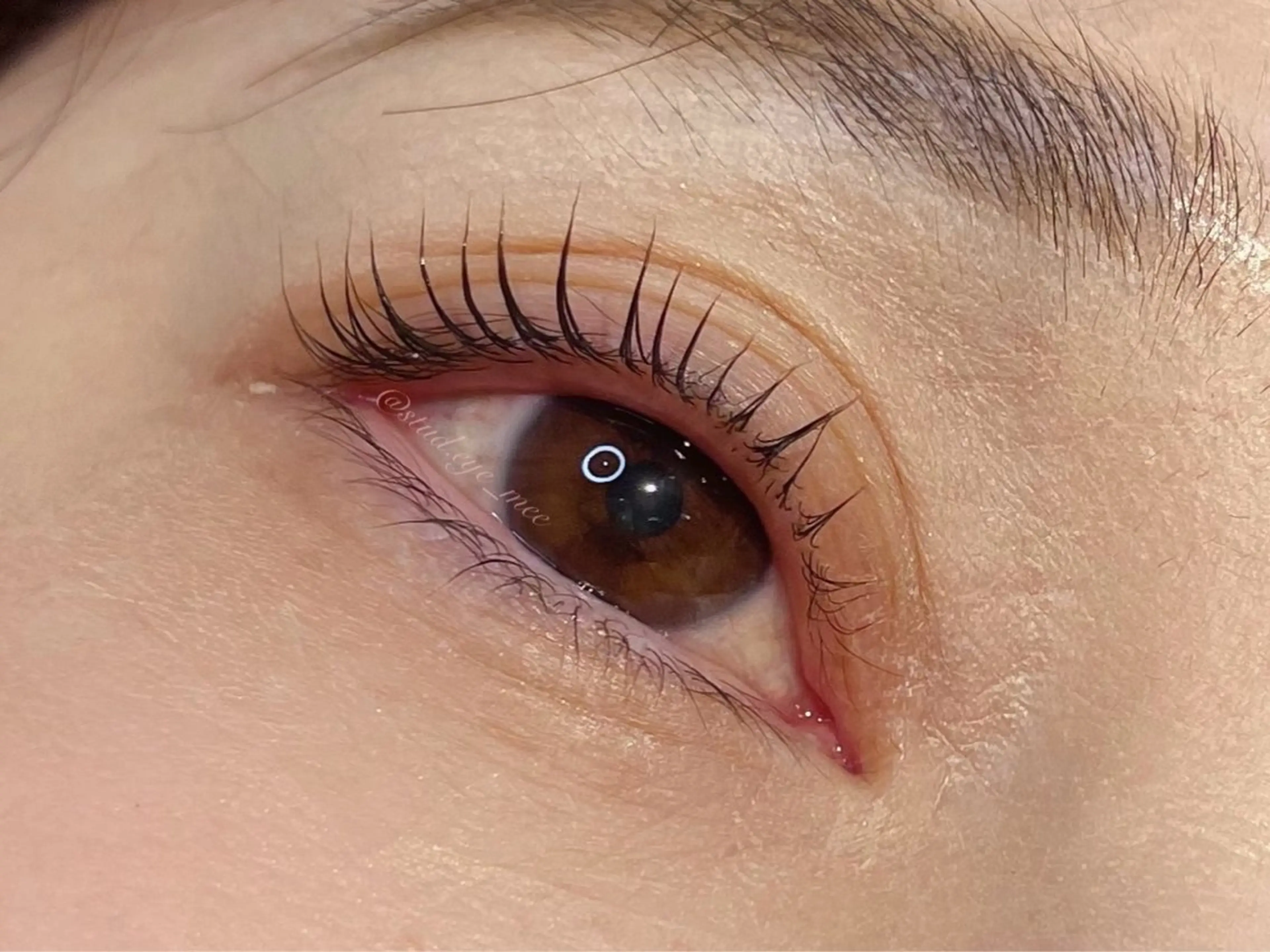 マツエク・マツパ マツパ NEW Open MIORA MIKIのマツエク・マツパデザイン