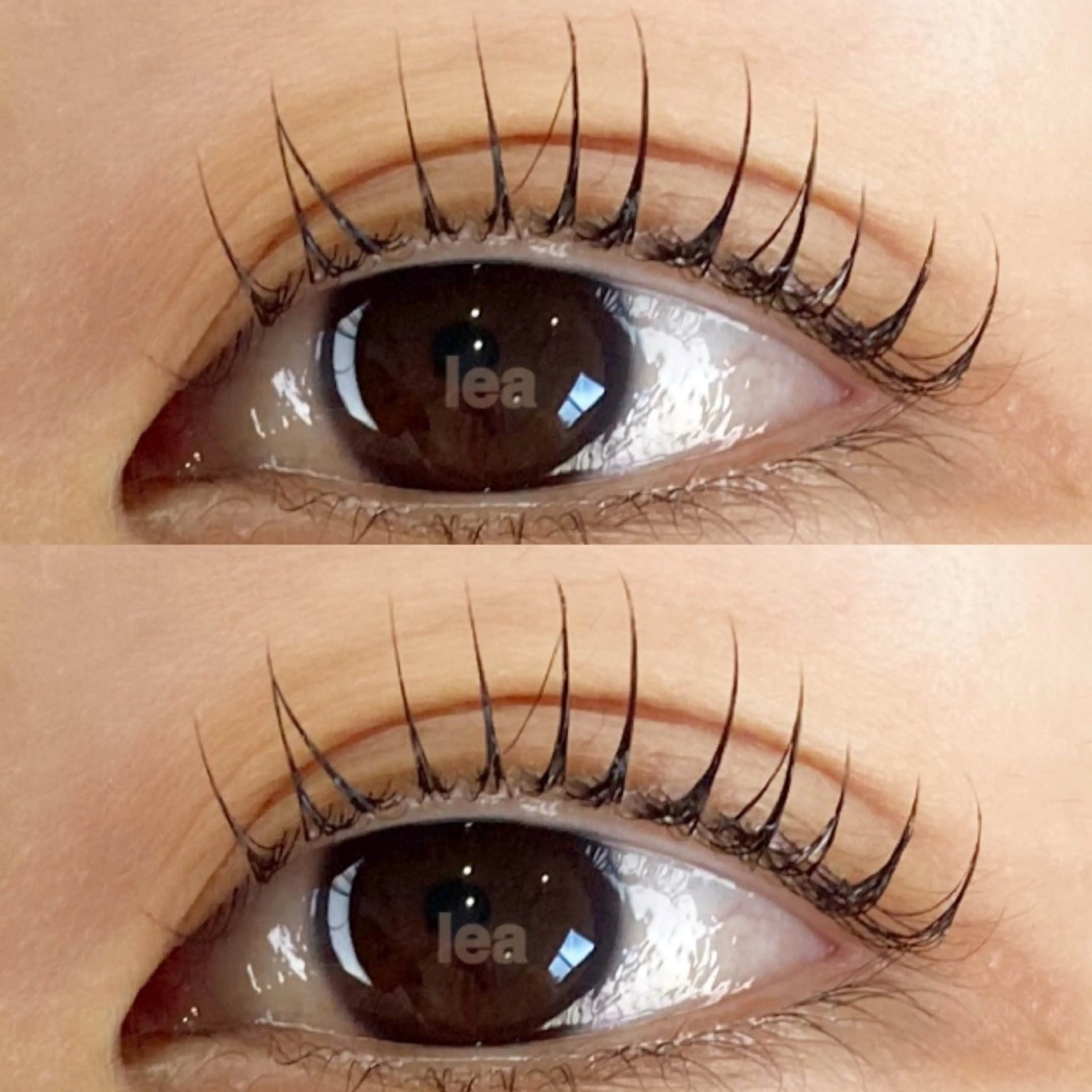マツエク・マツパ eyelash leaのマツエク・マツパデザイン