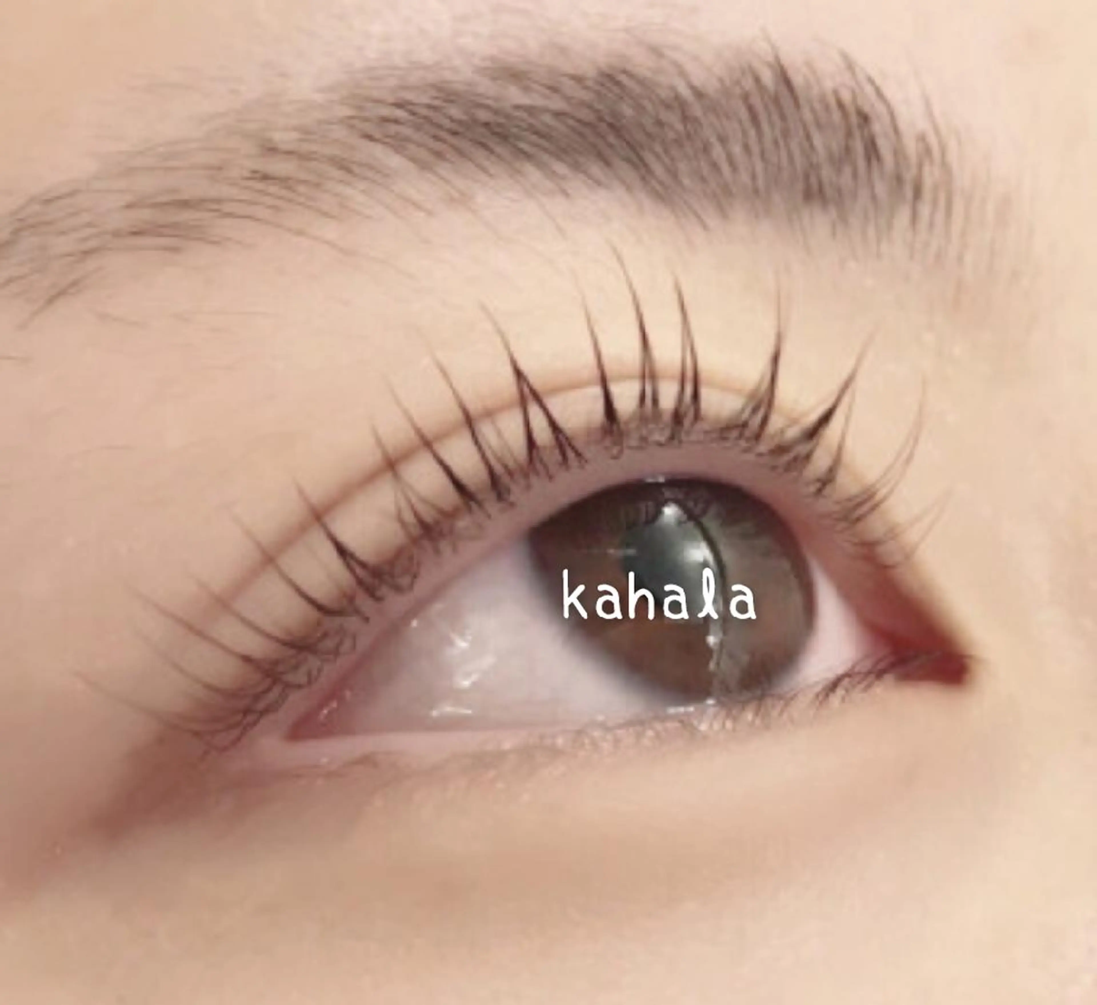 次世代パーマorパリジェンヌラッシュリフト¥6000→¥4000の写真