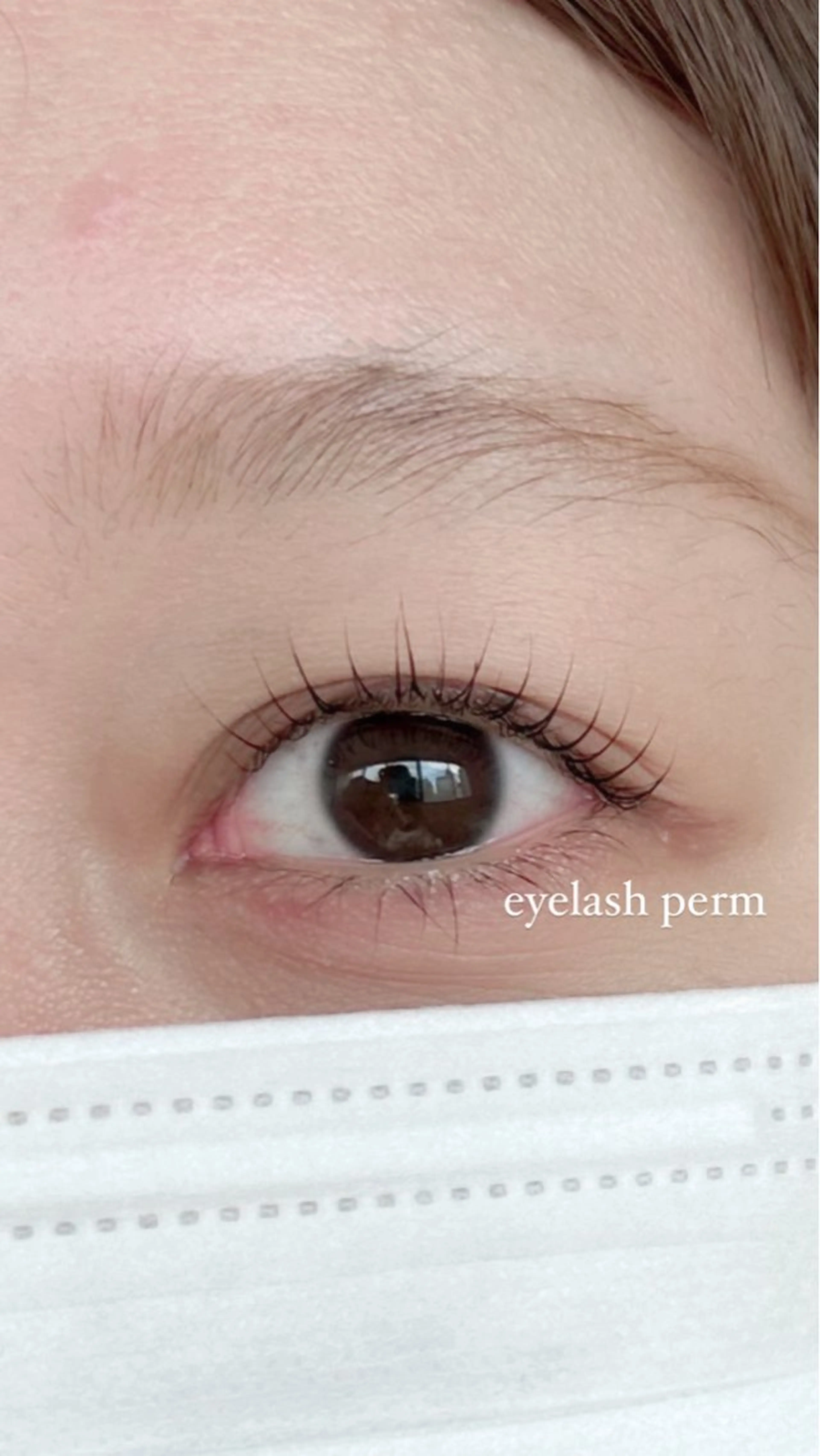 12/19限定価格🦋デザインラッシュリフト🦋《根本からの立ち上げで存在感のあるまつげに✨》の写真