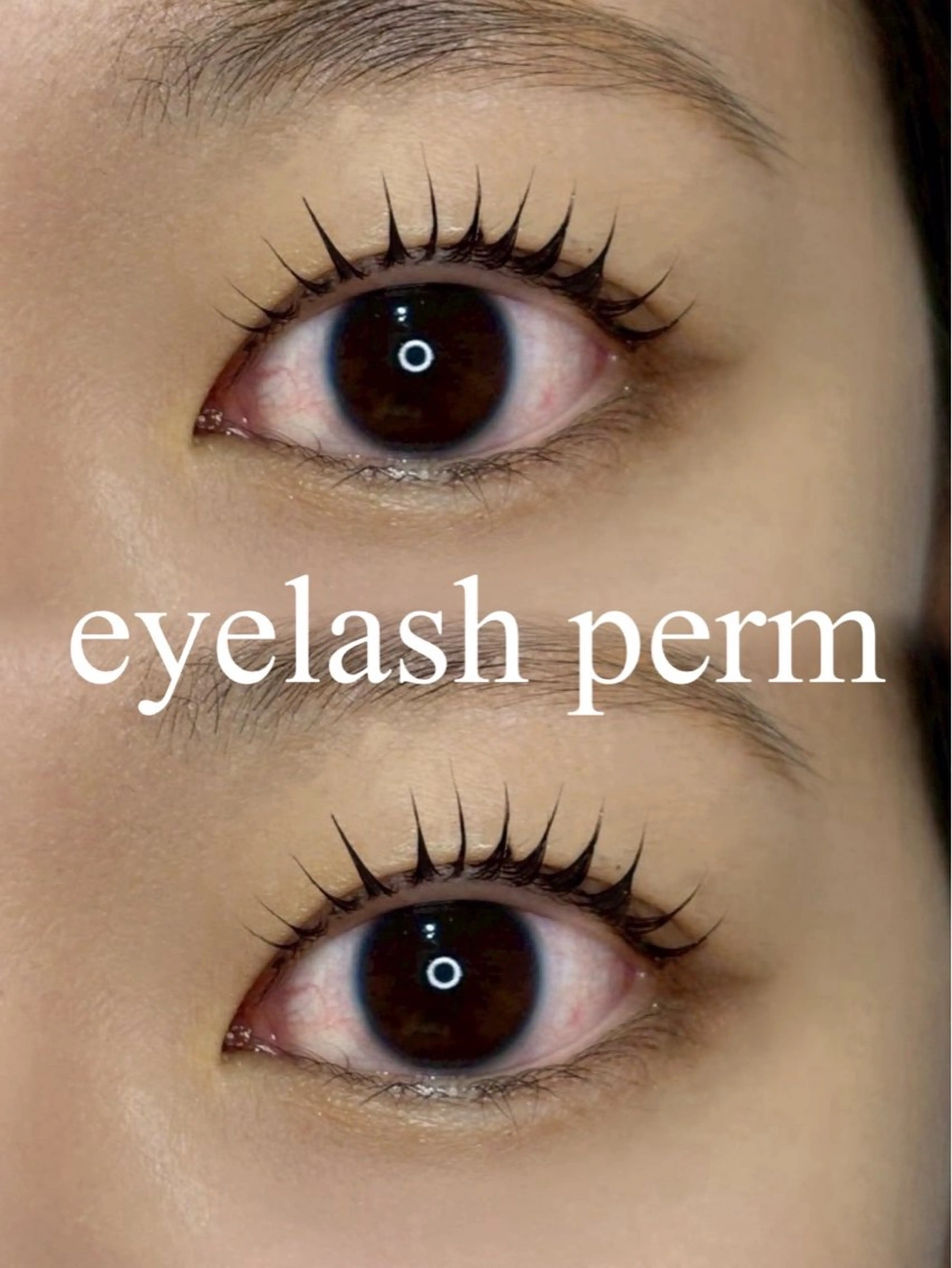 マツエク・マツパ LunaBrow所属・Luna Brow ゆめのマツエク・マツパデザイン