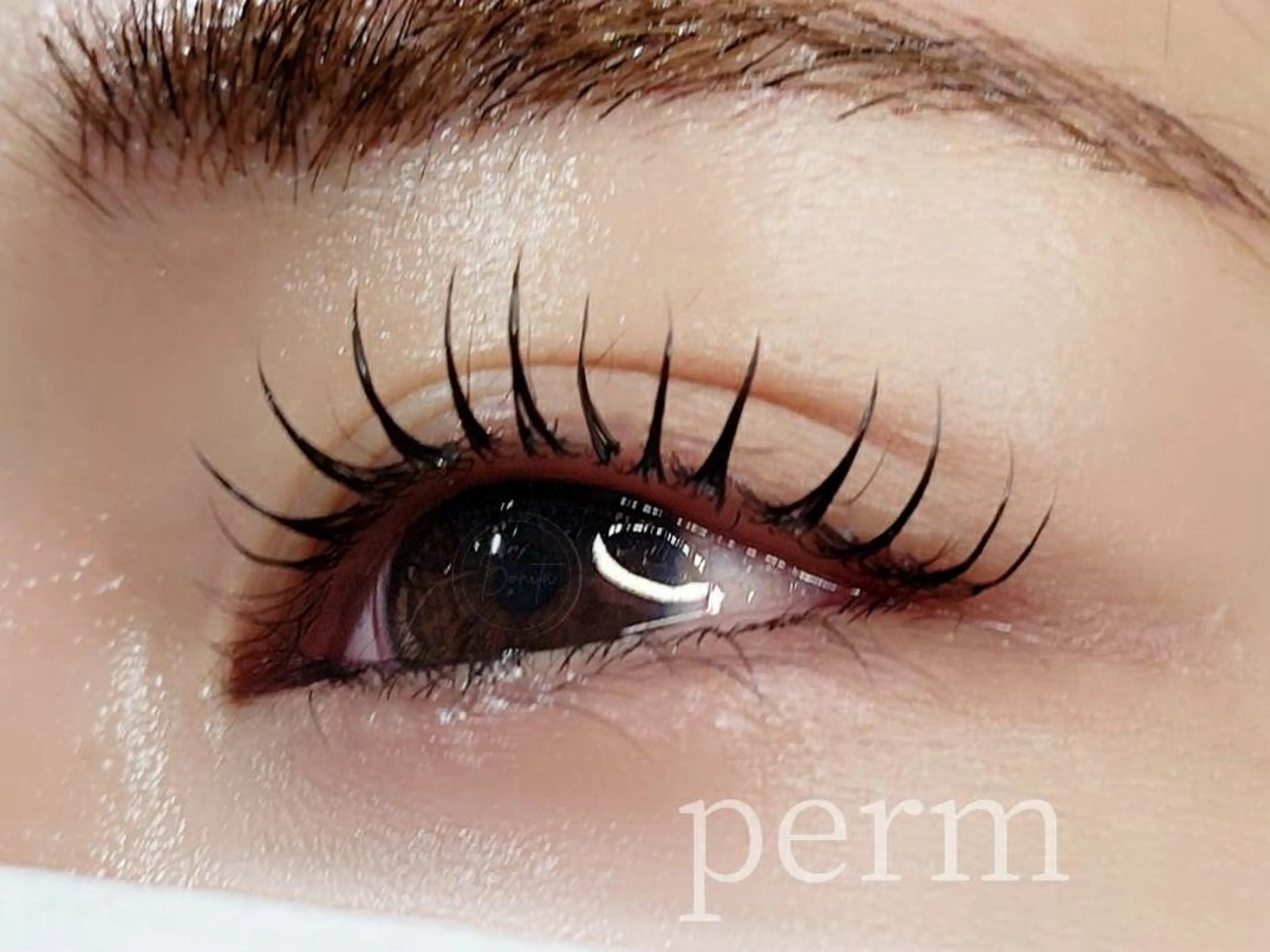 マツエク・マツパ Cカール 一重×まつ毛パーマ bonita所属・山本 マツゲのマツエク・マツパデザイン