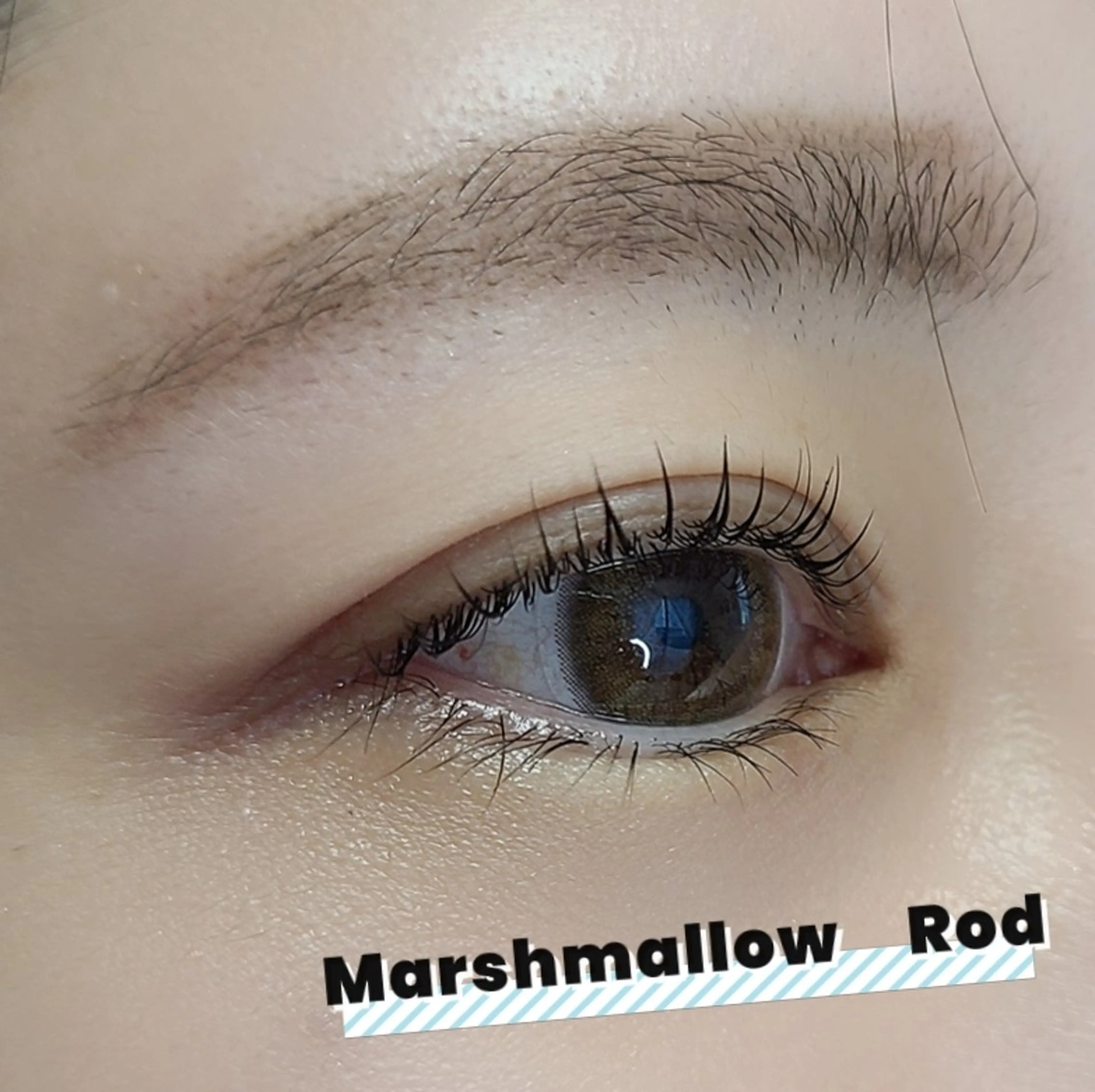 マツエク・マツパ 韓国風マツエク Rocher 【ロシェ】のマツエク・マツパデザイン