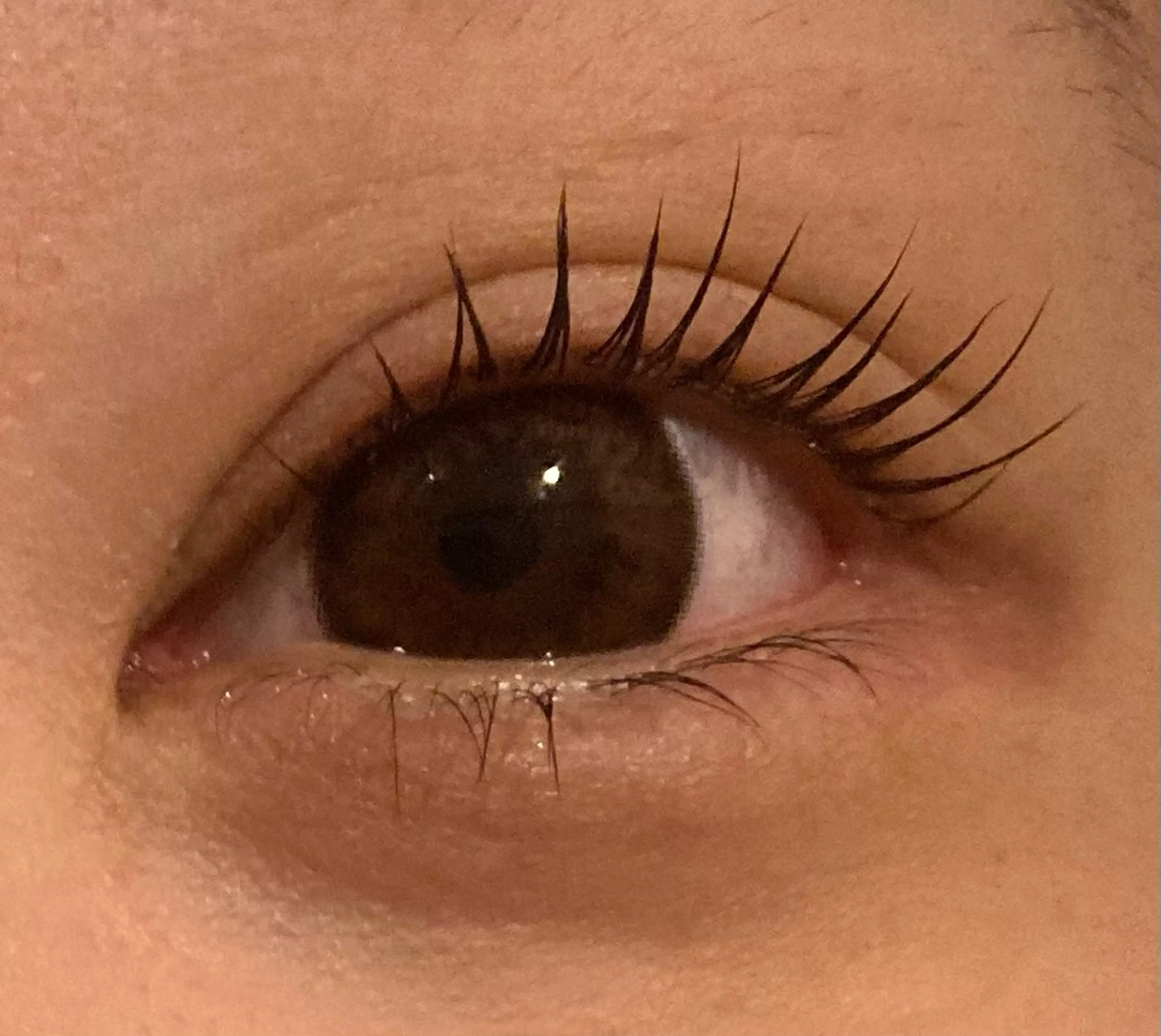 マツエク・マツパ 一重×まつ毛パーマ La chouette所属・アイリスト/ SAHOのマツエク・マツパデザイン