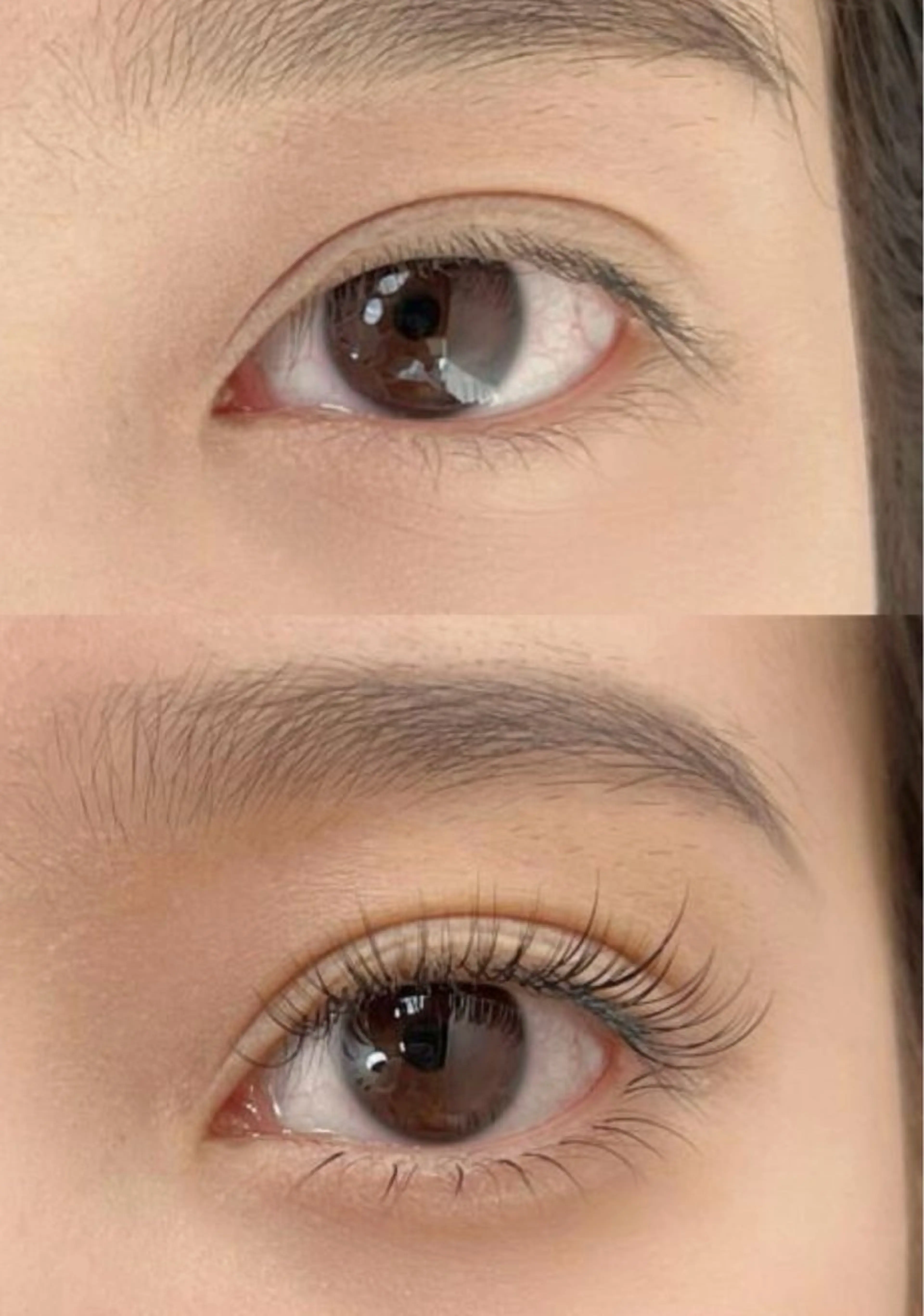 マツエク・マツパ 東京 秋のマツエク・マツパデザイン