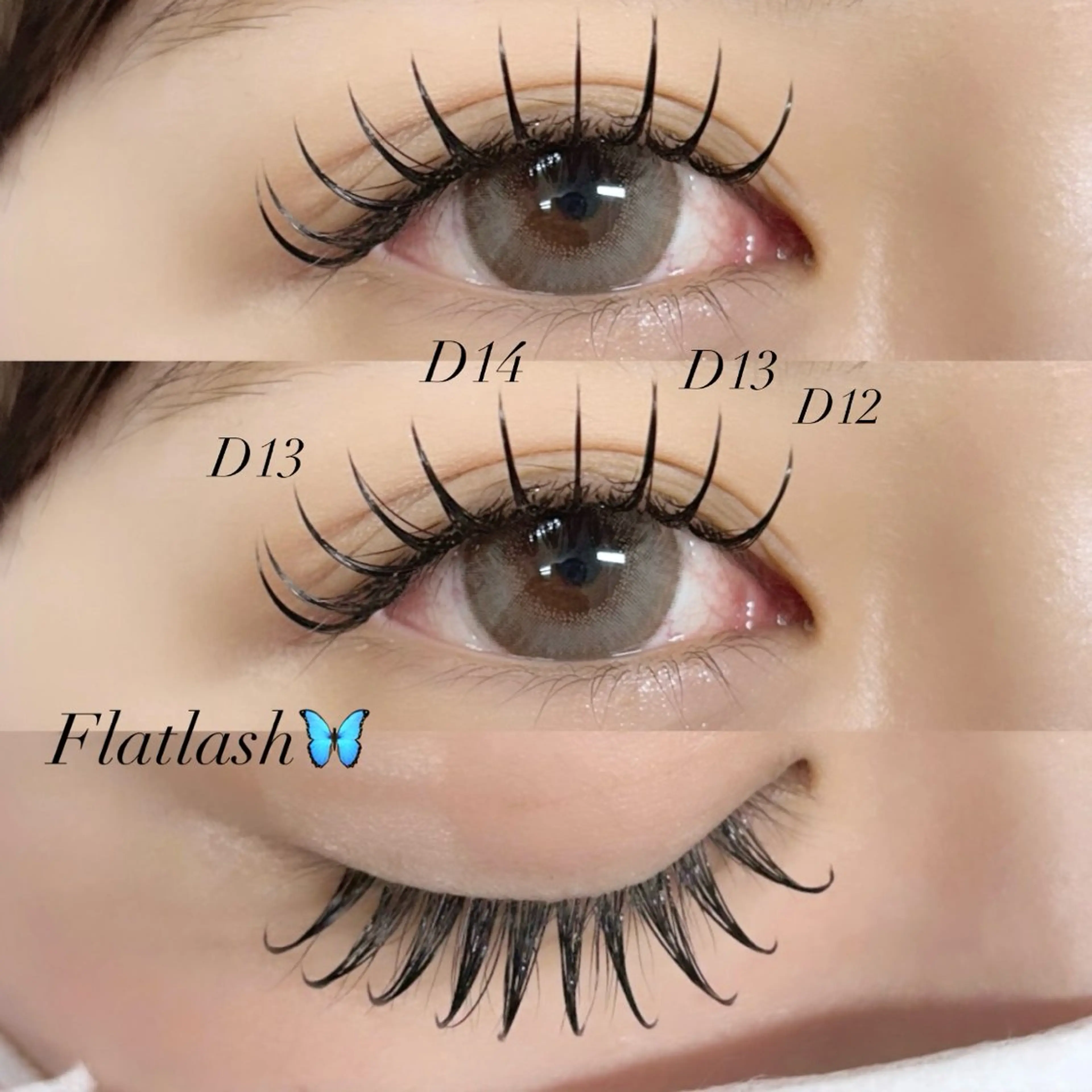 マツエク・マツパ フラットラッシュ マツエク Luna所属・YUKA 💫大阪福島のマツエク・マツパデザイン