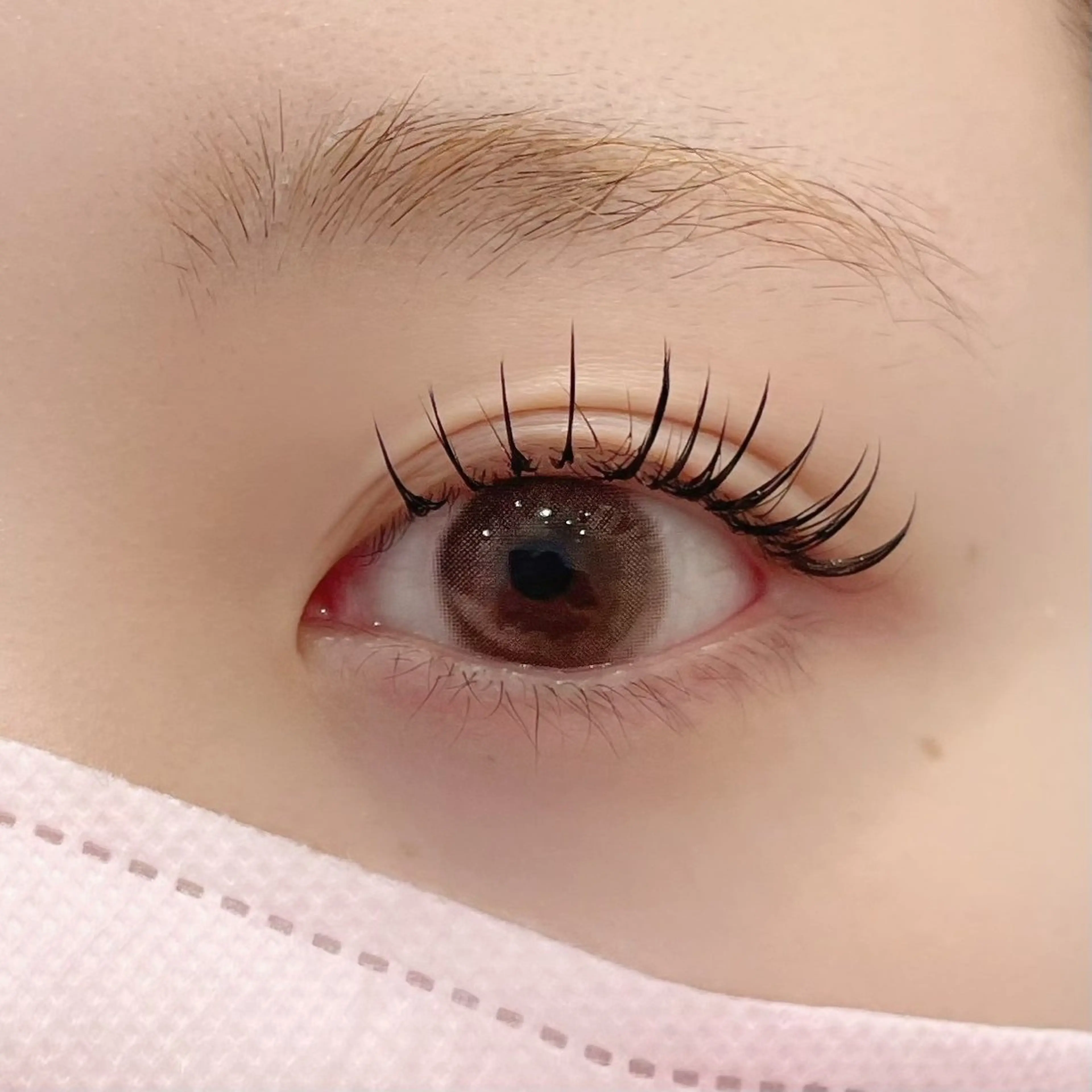 【12月限定】ご新規様クーポン🌟セーブル80本🌟の写真