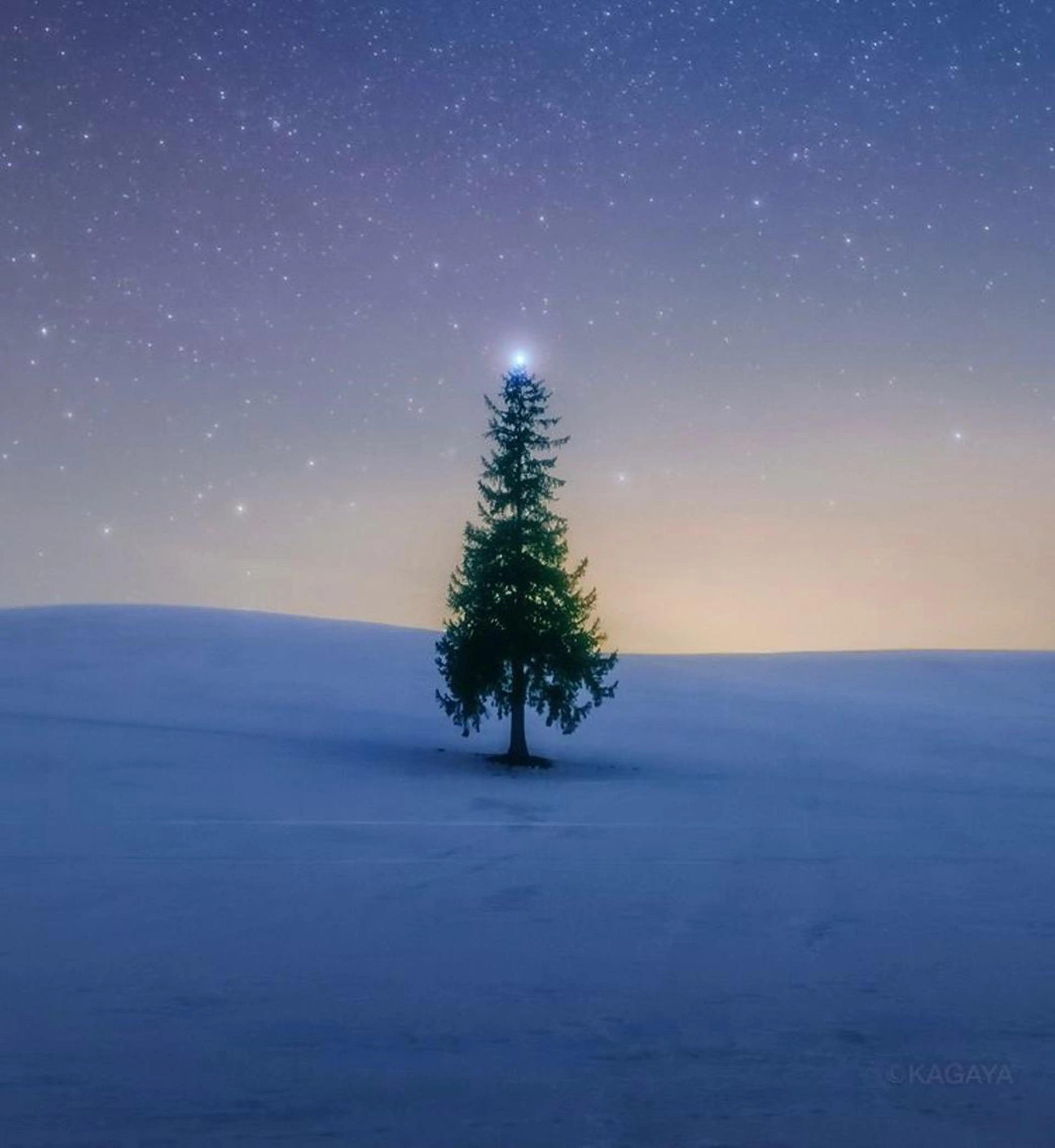 セミロング カラー パーマ ヘアアレンジ メンズ キッズ ネイル マツエク・マツパ アイブロウ 触れたくなる モテ肌へ...❤︎のエステ・リラクイメージ