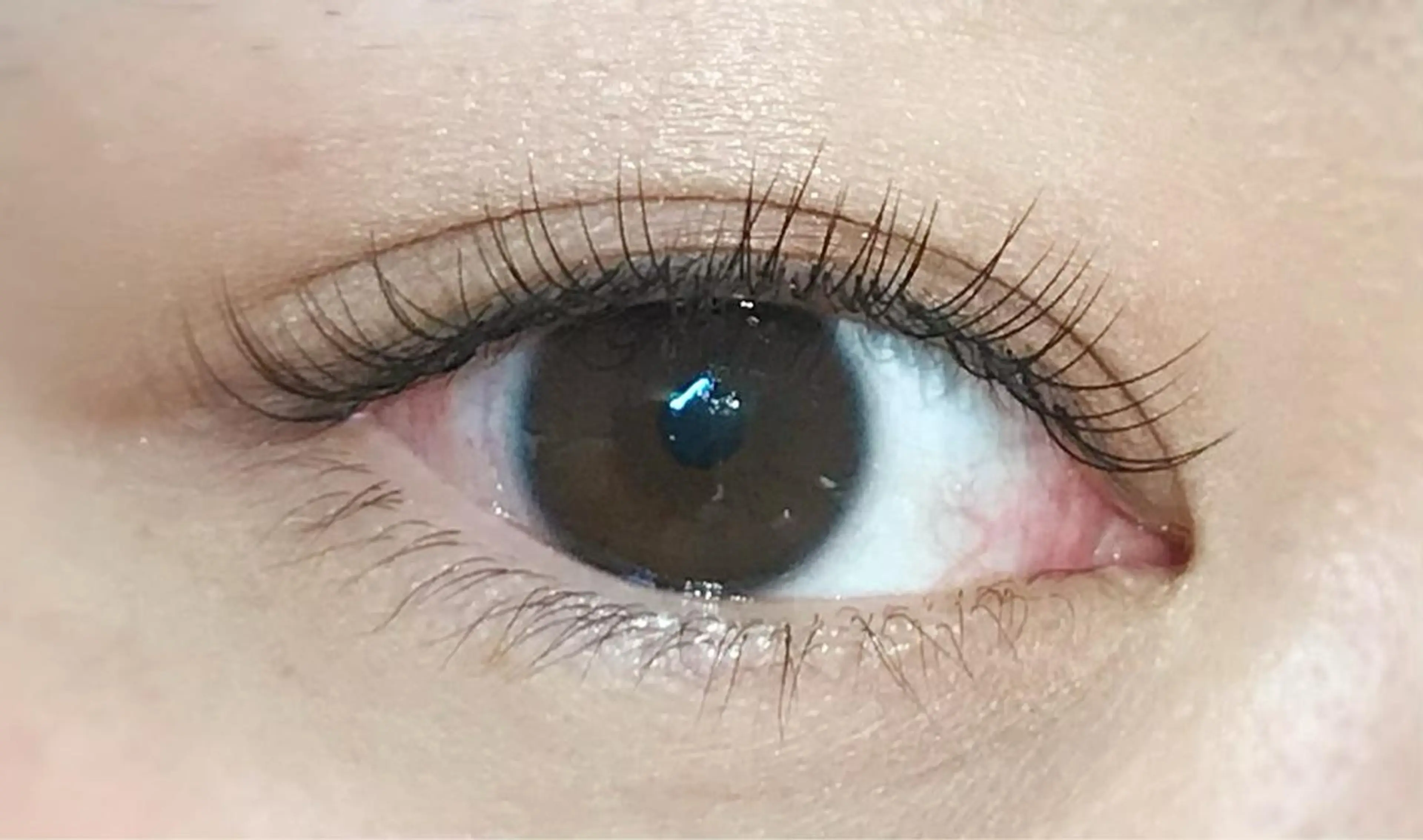 マツエク・マツパ LASH BAR所属・LASH BAR🫧 天王寺のその他イメージ