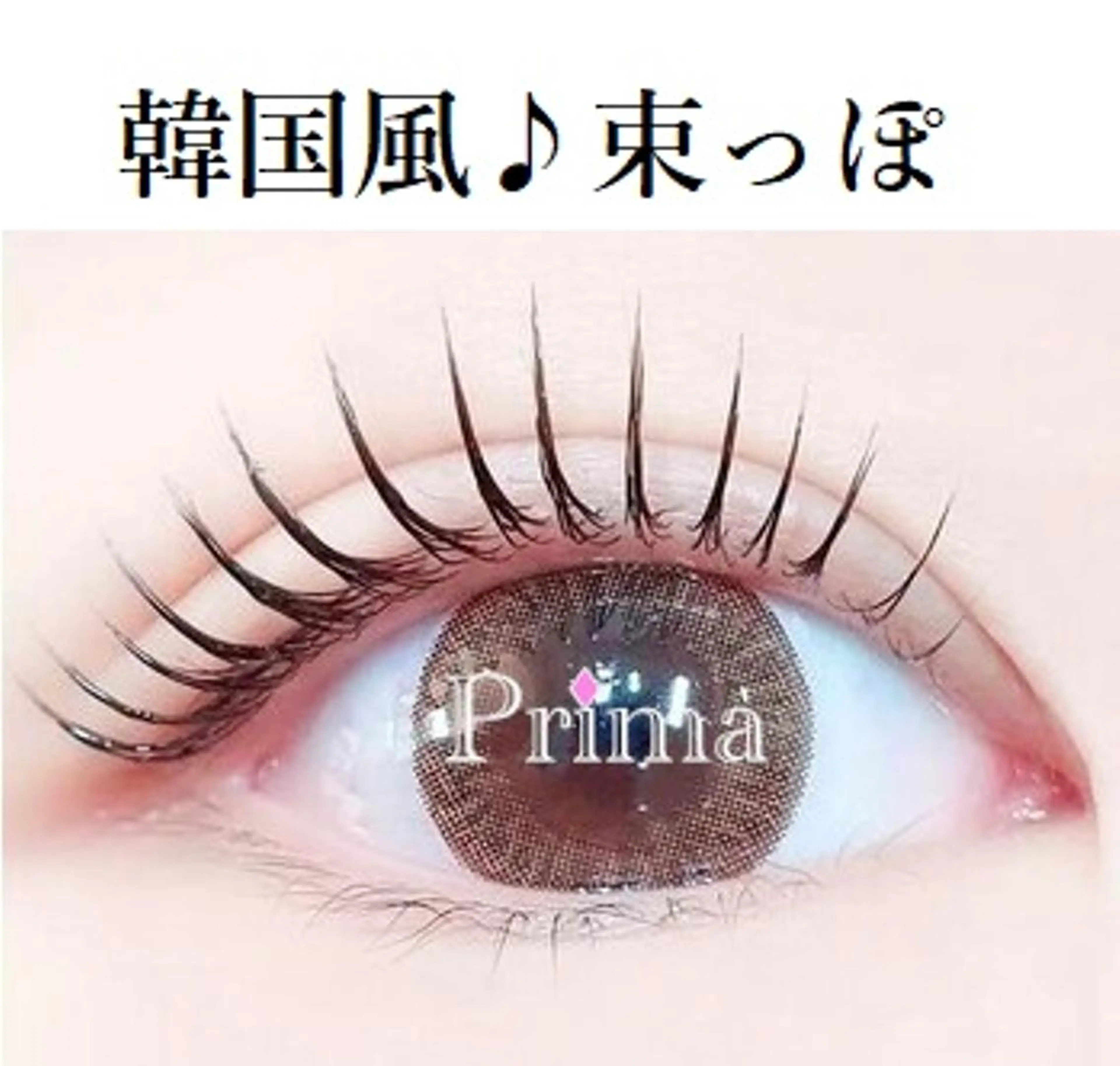 マツエク・マツパ 束感まつ毛 韓国風マツエク マツパ Prima💜 アイラッシュ💜のマツエク・マツパデザイン