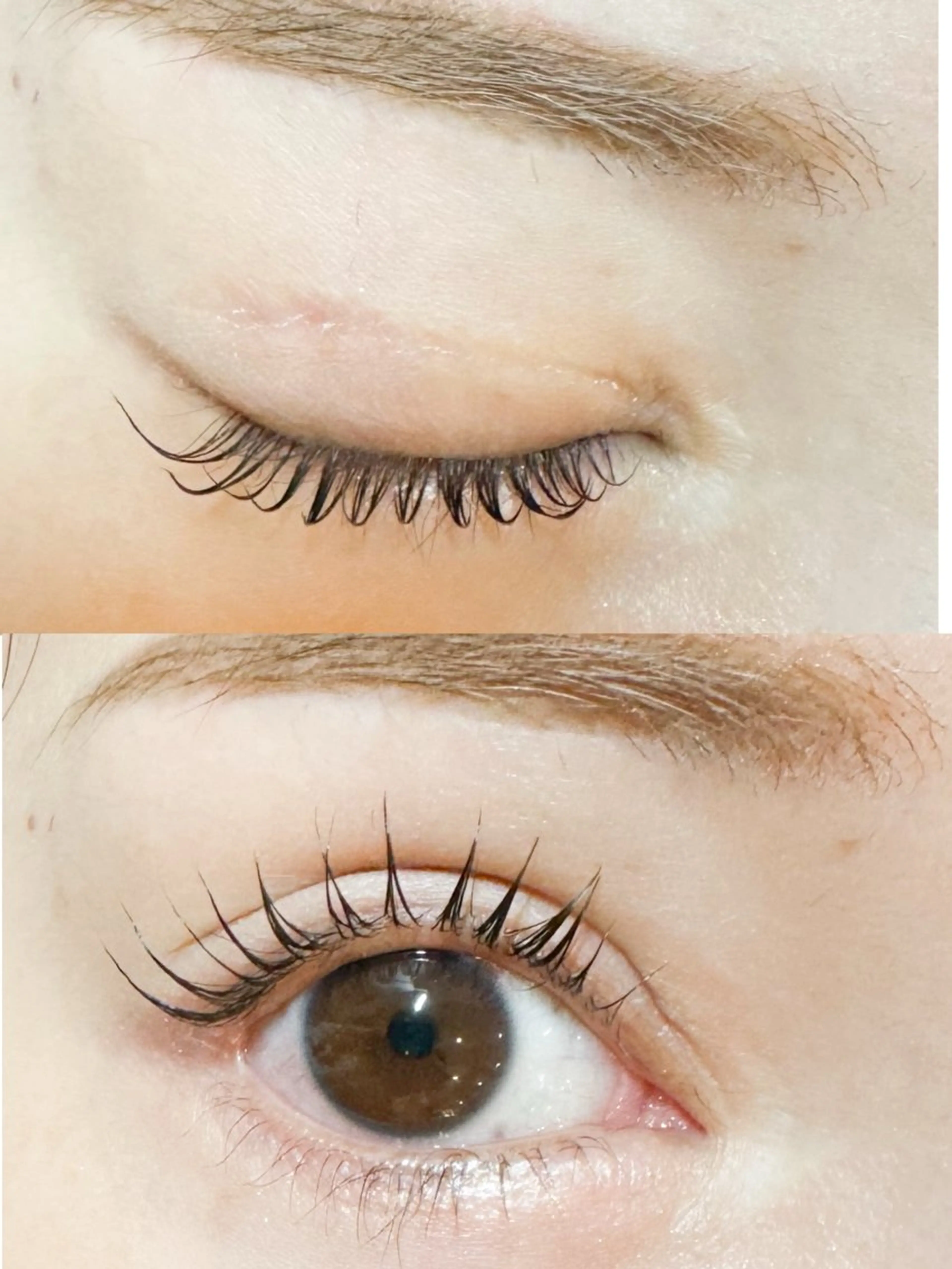 マツエク・マツパ まつげパーマ Isogai 𓏸𓍯﻿のマツエク・マツパデザイン