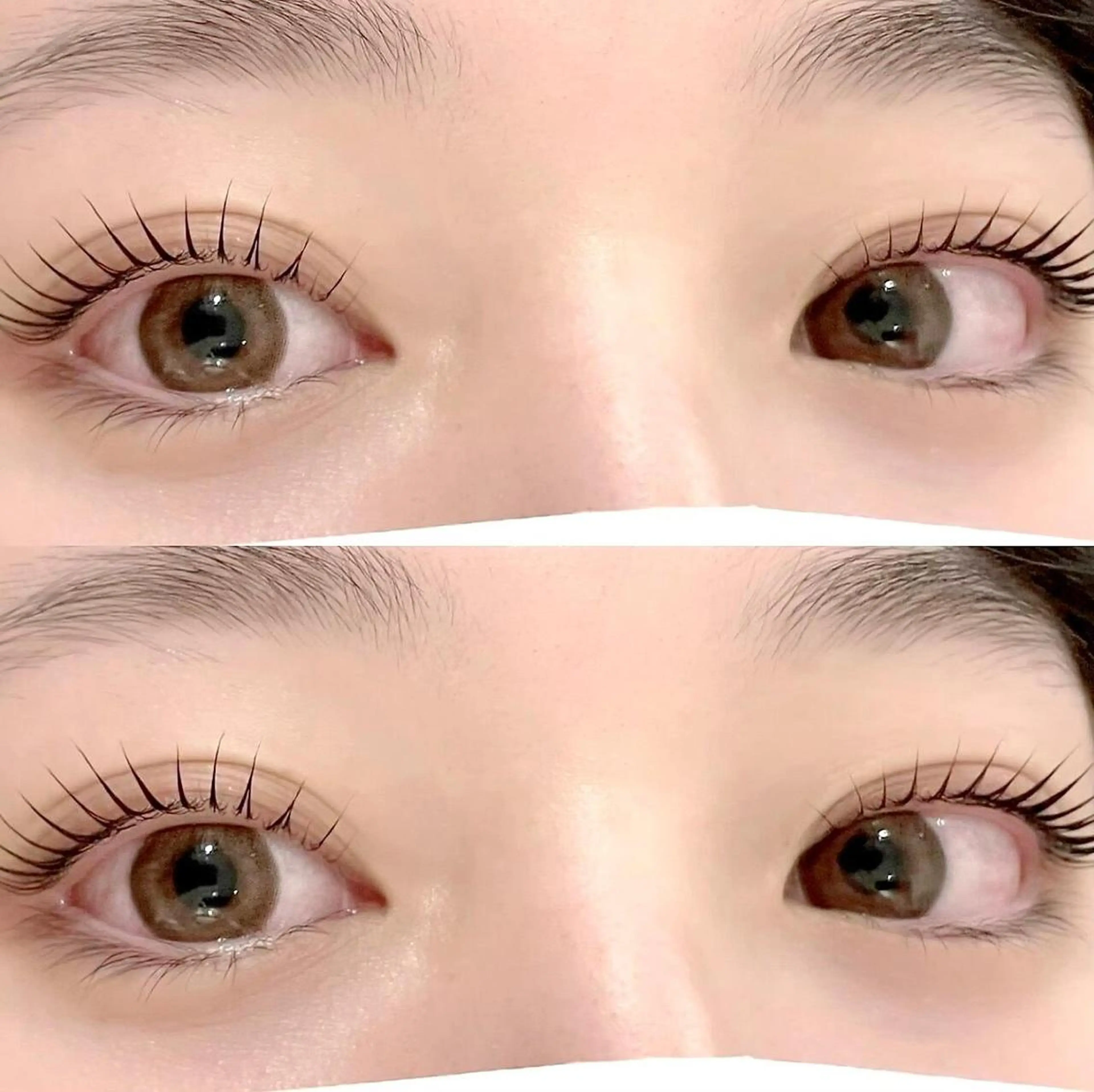 【🍀2.3回目以降🍀】大人気！パリジェンヌラッシュリフト🩰の写真