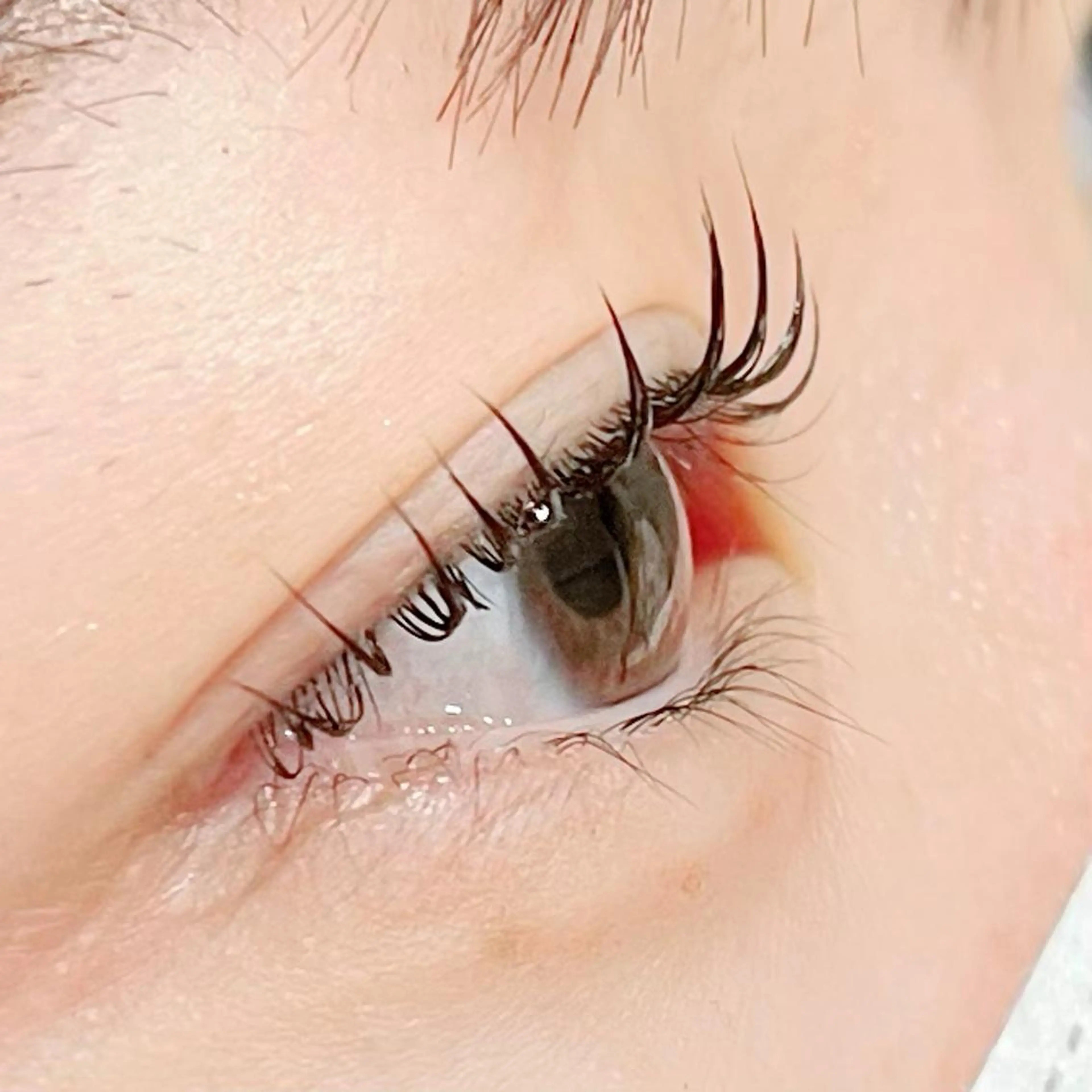 マツエク・マツパ Shine💫白石 珠紀のマツエク・マツパデザイン