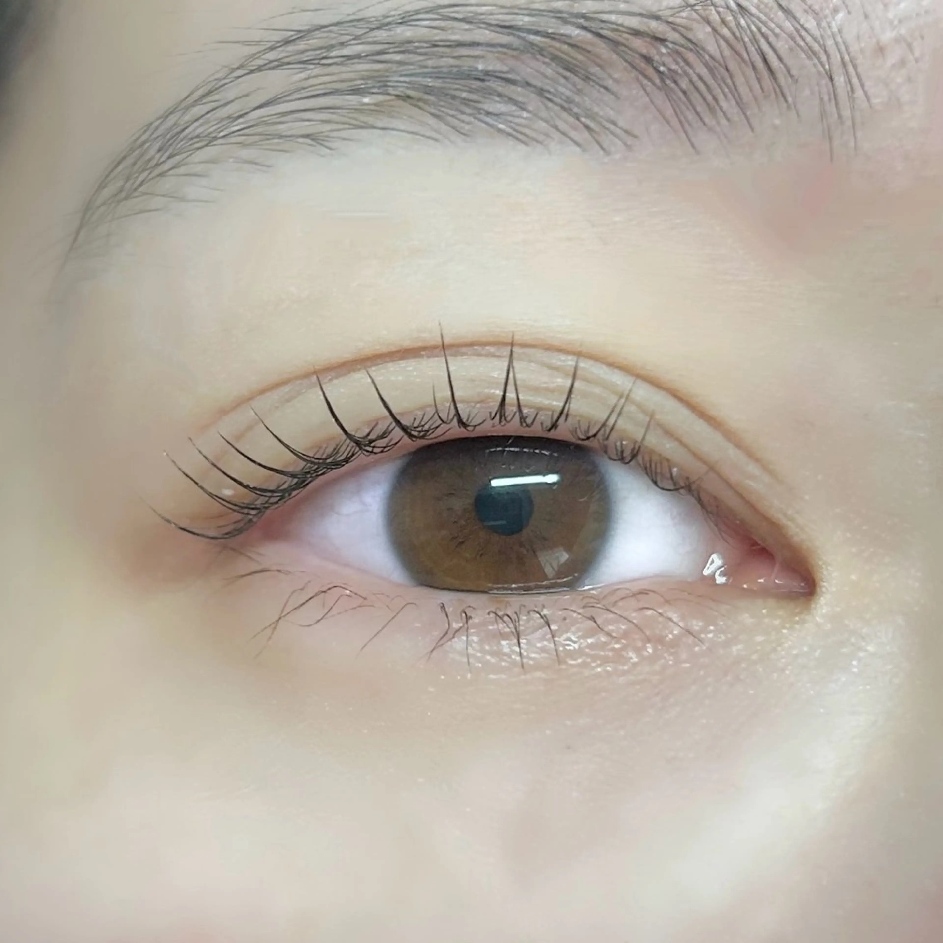 マツエク・マツパ ‪✿ fleur coco ‪✿の眉毛・アイブロウイメージ