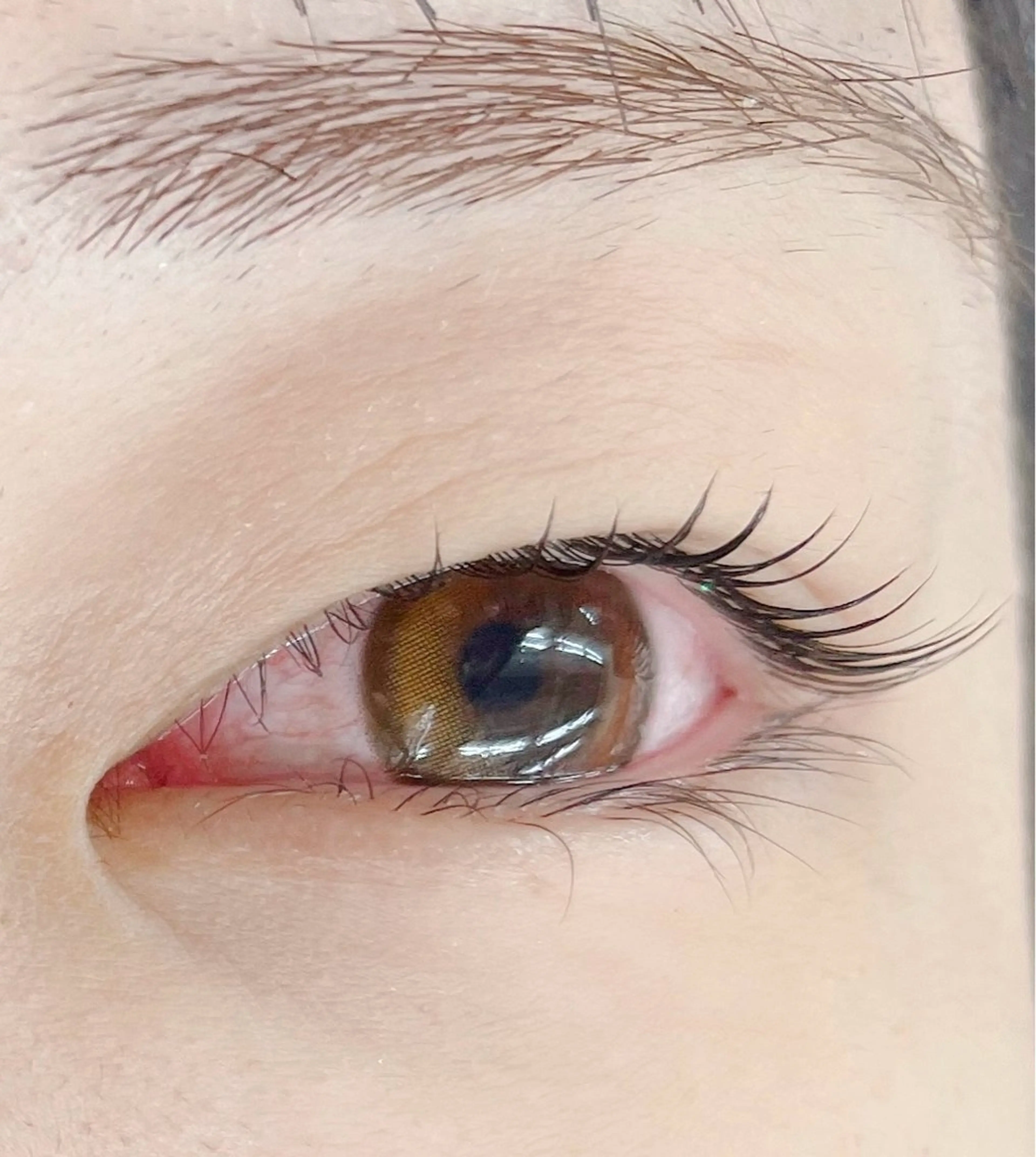 マツエク・マツパ 一重×まつ毛パーマ ate eyelash 和泉府中店【まつげパーマ／ラッシ ユリフト/LED/東感バインド／眉毛】所属・もり まゆみのマツエク・マツパデザイン