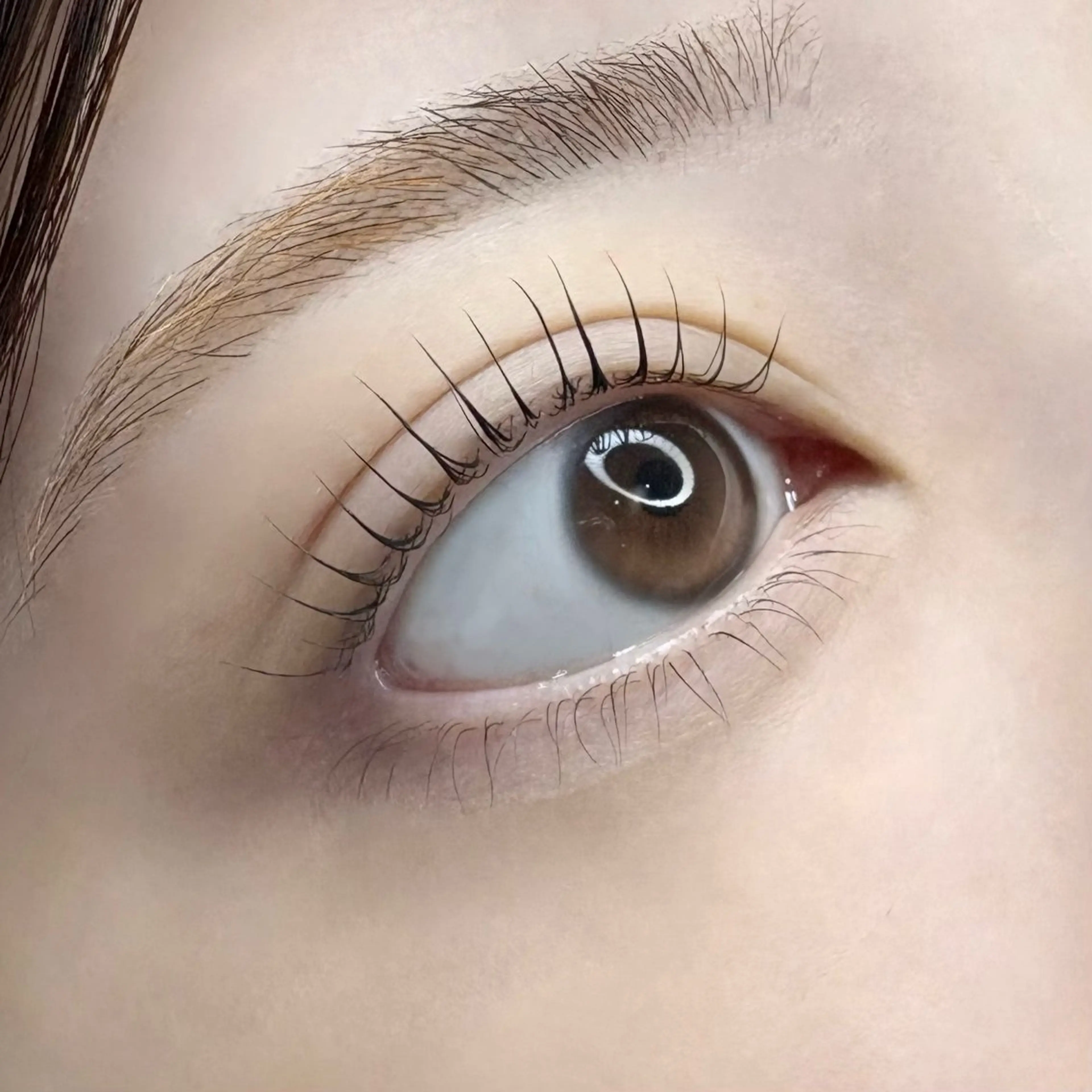 マツエク・マツパ まつげパーマ 下まつげエクステ 松本 かのんのヘアスタイル