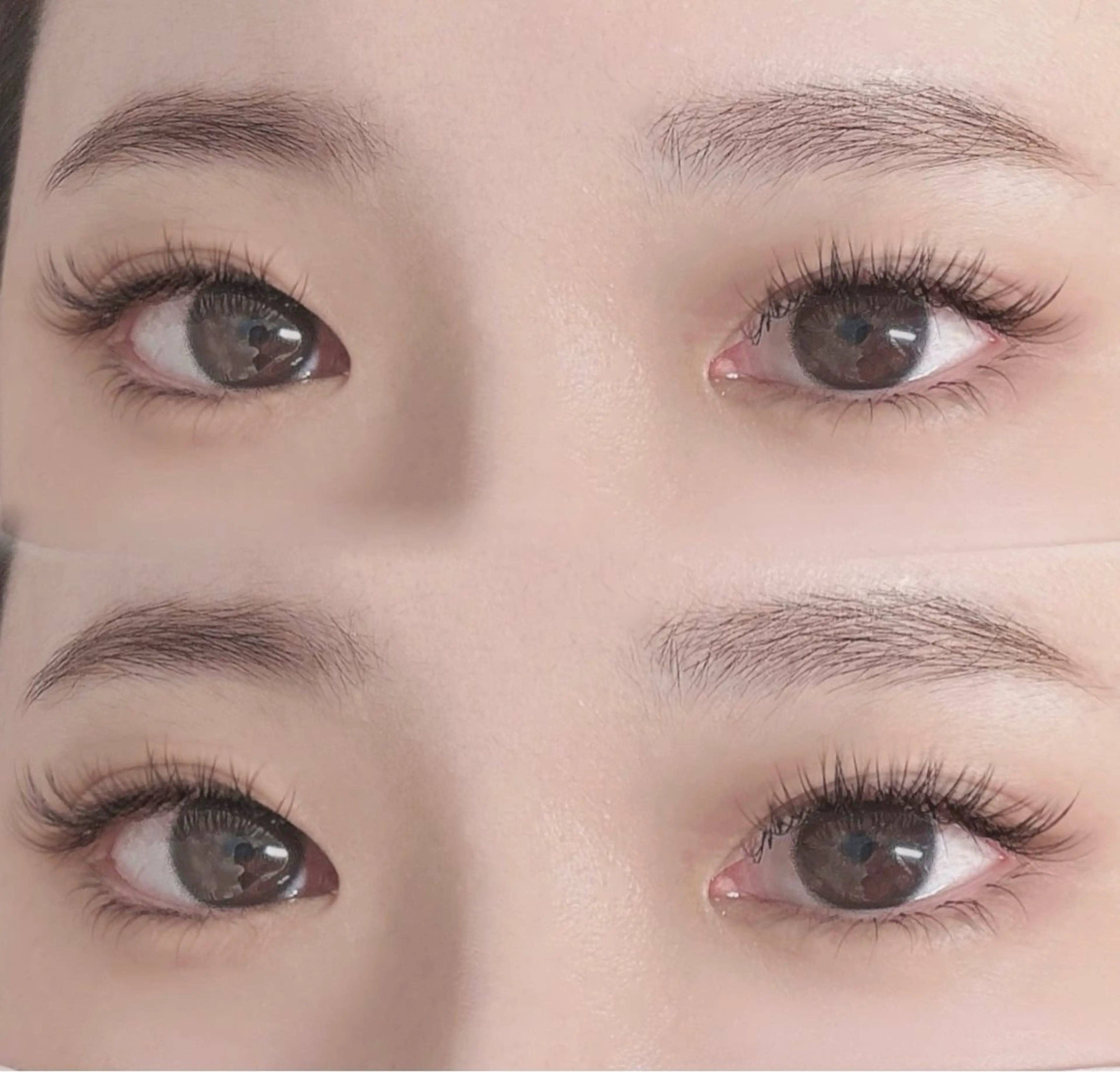 ﾏﾂｴｸ Wﾌﾗｯﾄ60束🎀の写真