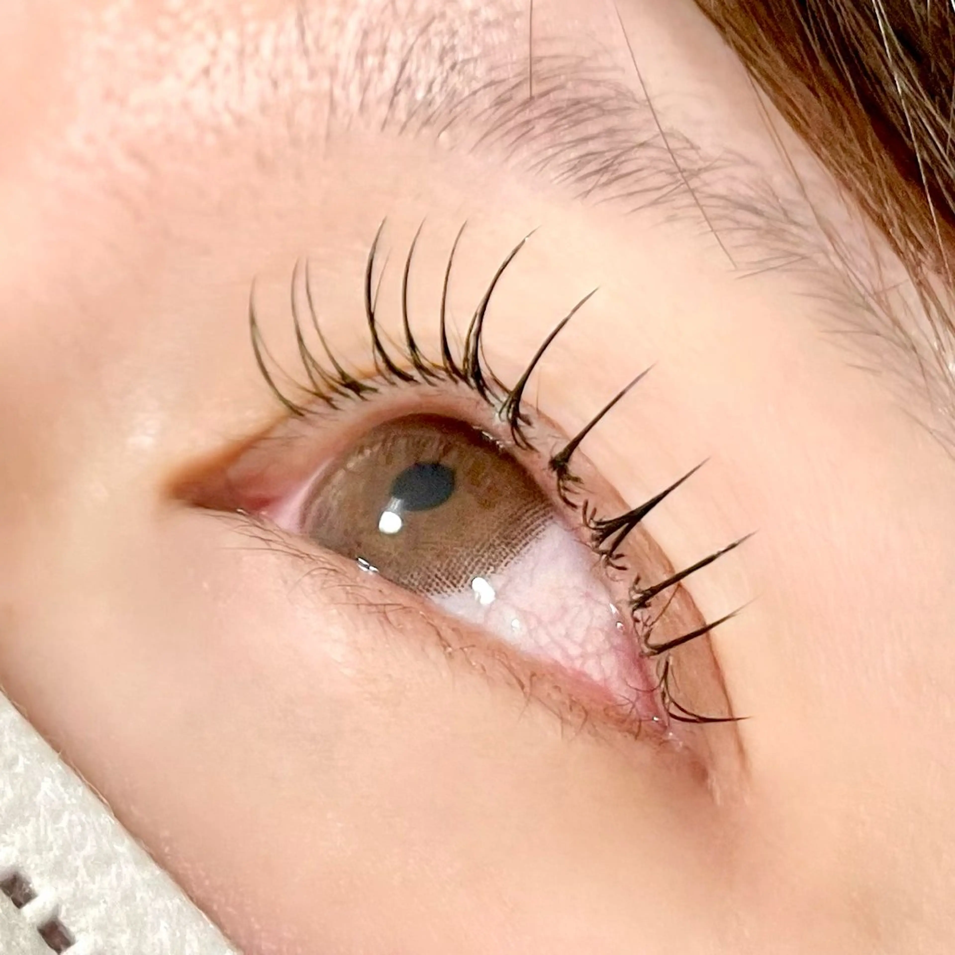 フラットラッシュ120本の写真